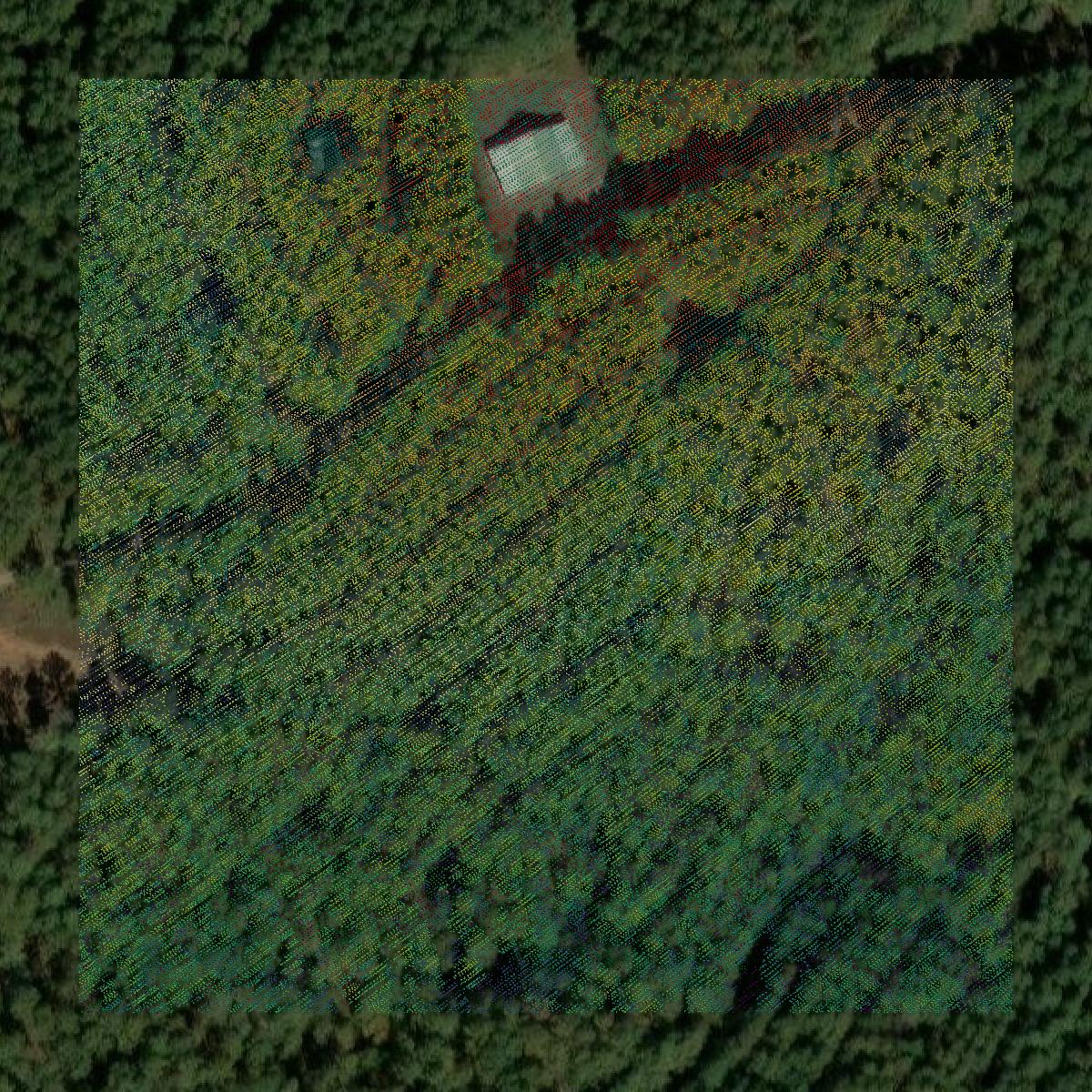 This image shows a LiDAR point cloud in Elbert County created using GIS data in Equator.