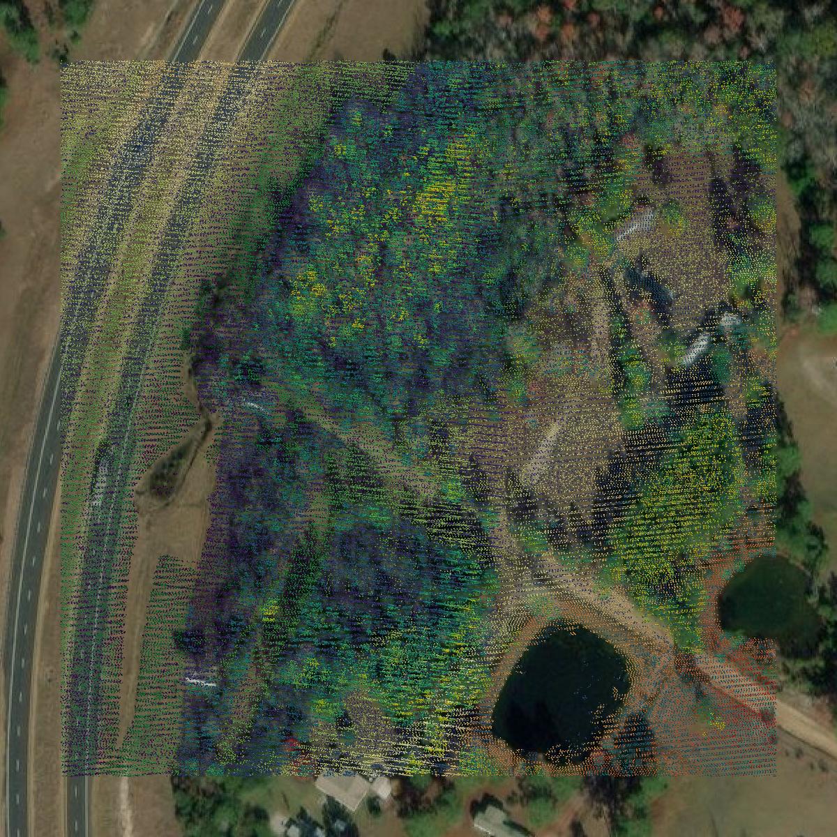 This image shows a LiDAR point cloud in Emanuel County created using GIS data in Equator.