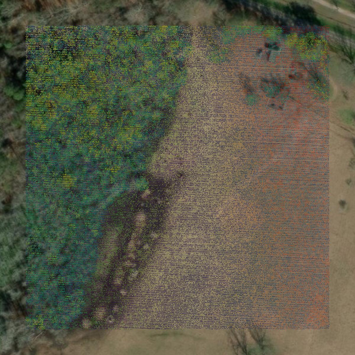 This image shows a LiDAR point cloud in Emanuel County created using GIS data in Equator.