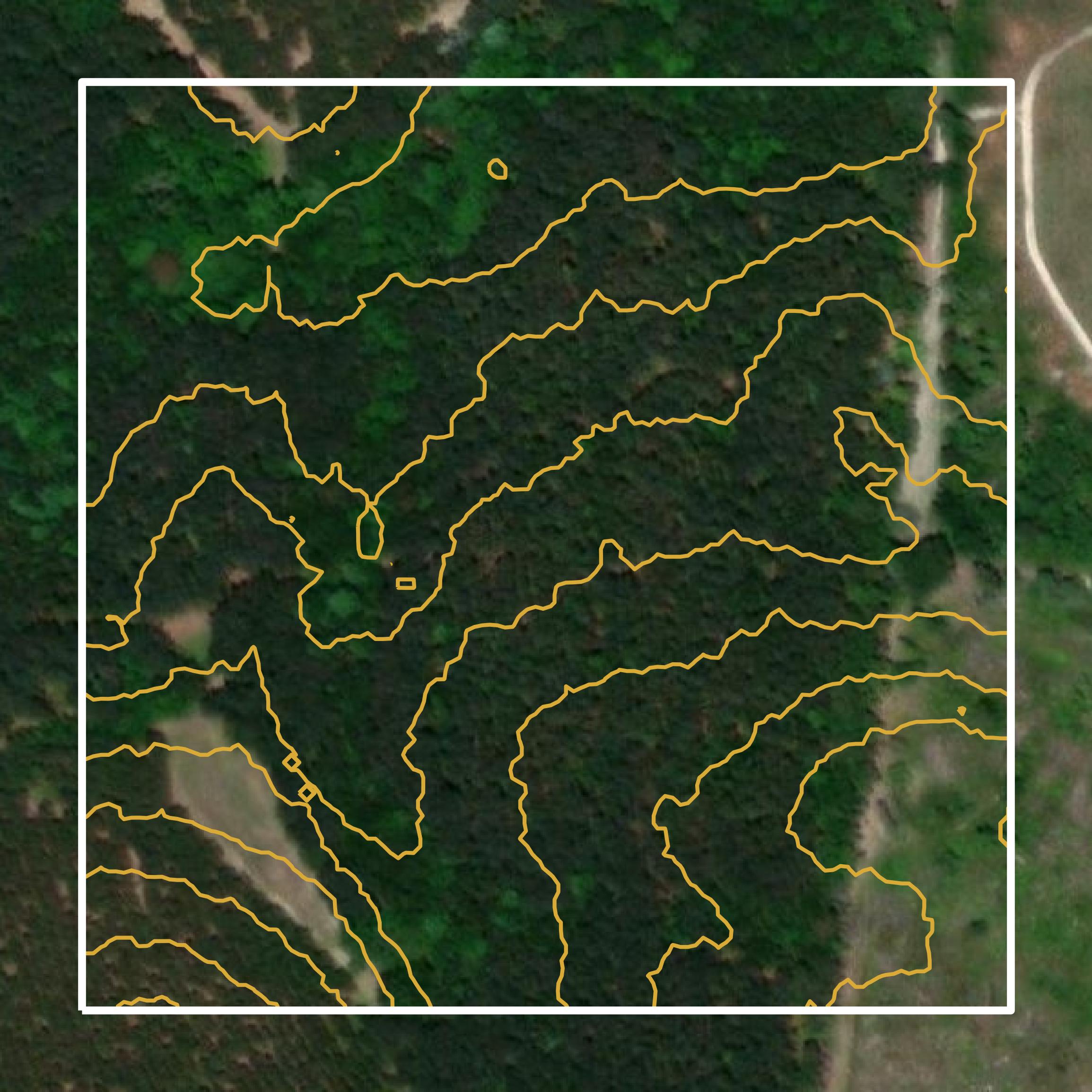 This image shows a contour map in Evans County created using GIS data in Equator.