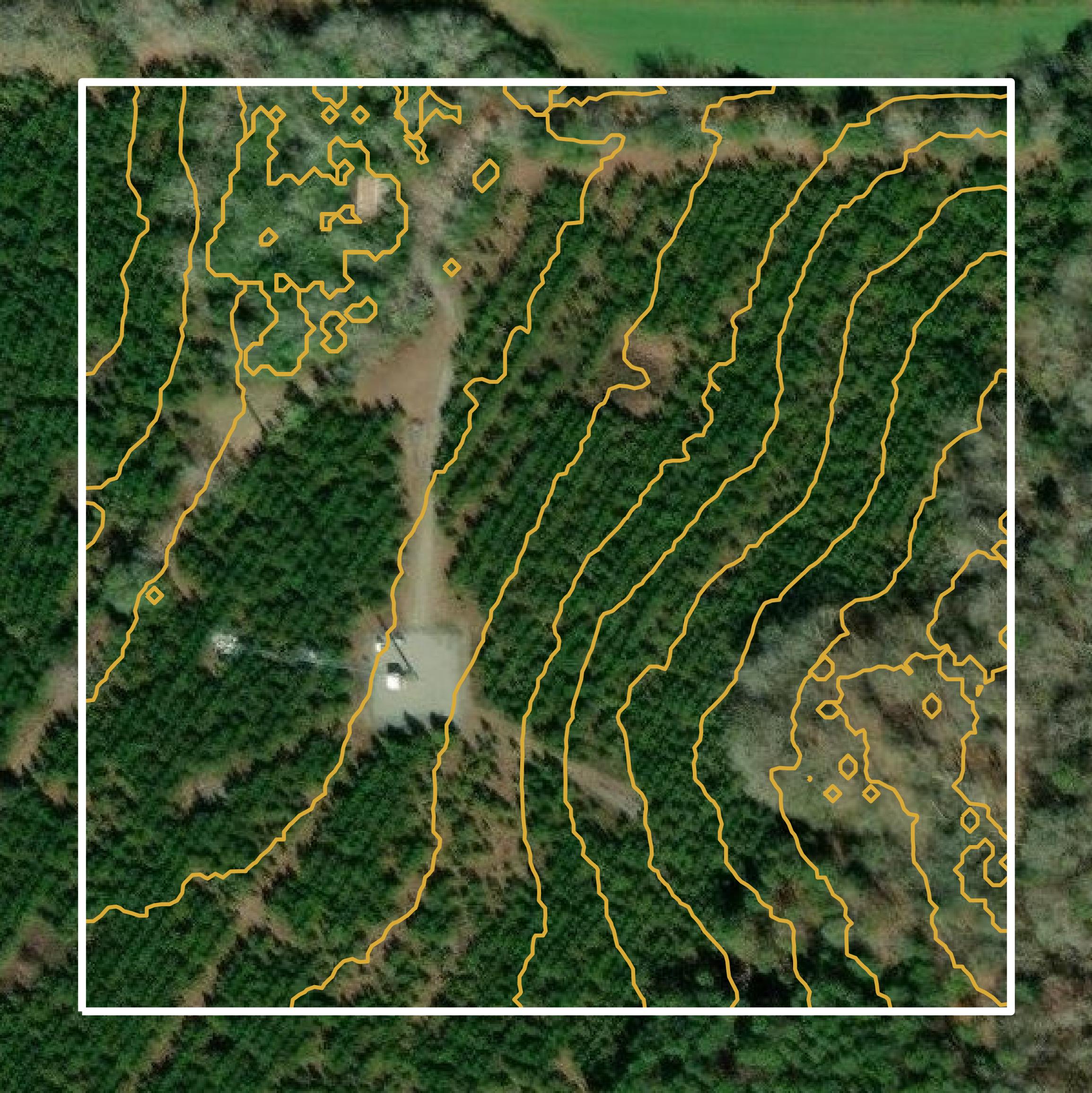 This image shows a contour map in Evans County created using GIS data in Equator.