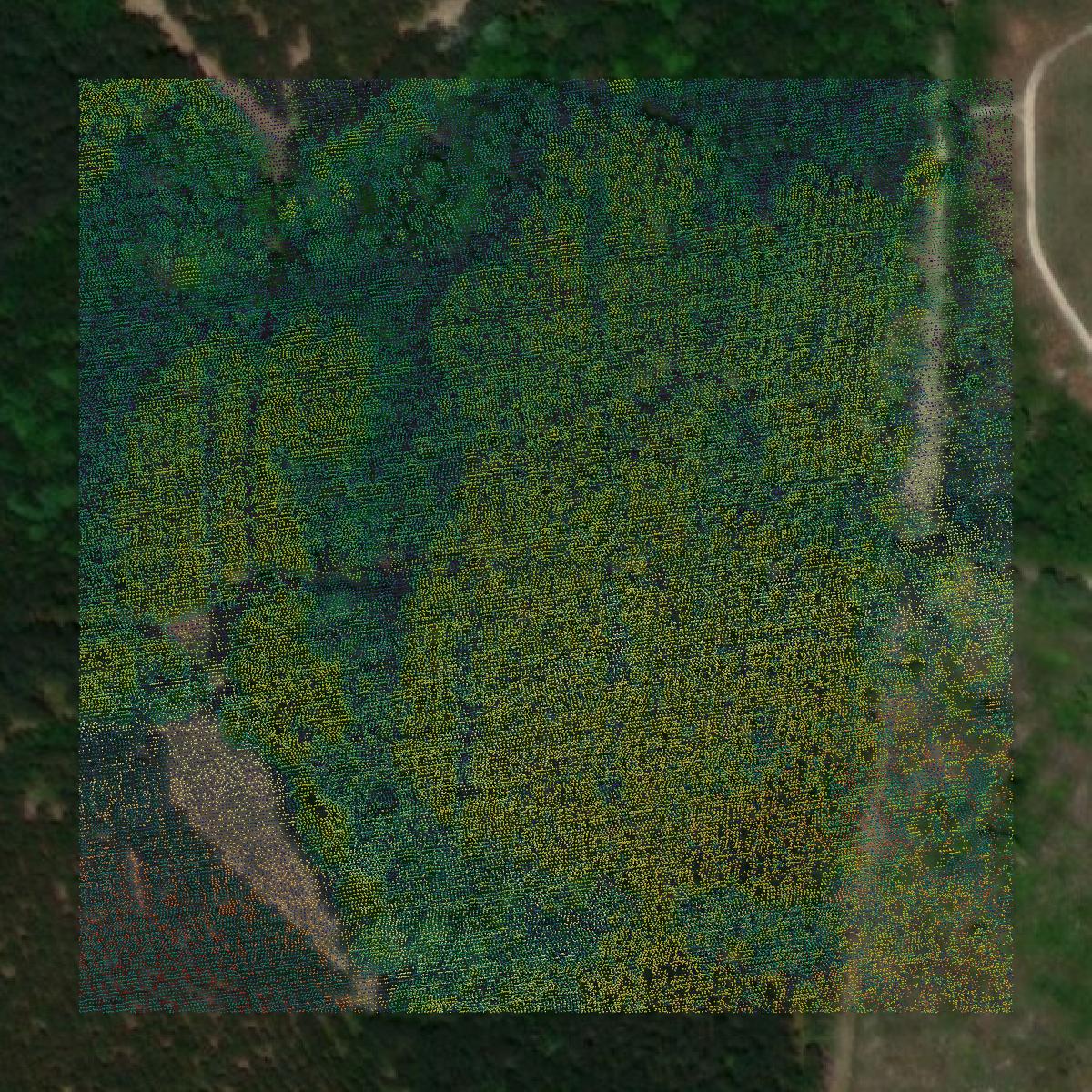 This image shows a LiDAR point cloud in Evans County created using GIS data in Equator.
