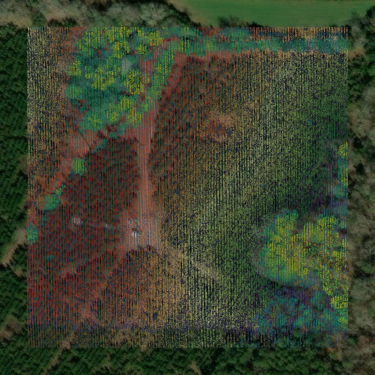 This image shows a LiDAR point cloud in Evans County created using GIS data in Equator.