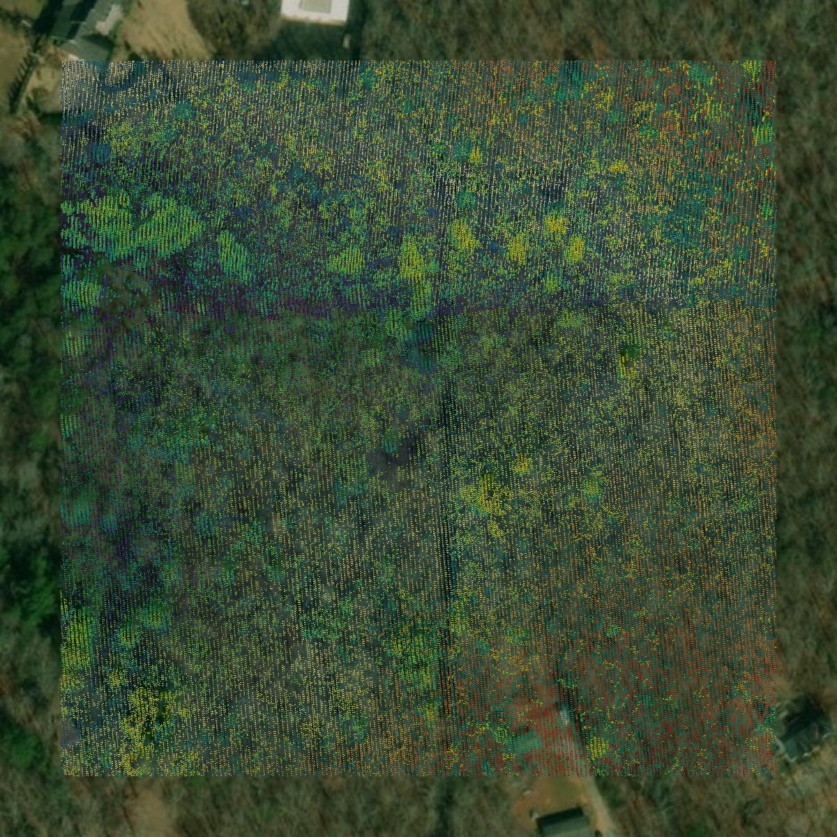 This image shows a LiDAR point cloud in Fannin County created using GIS data in Equator.
