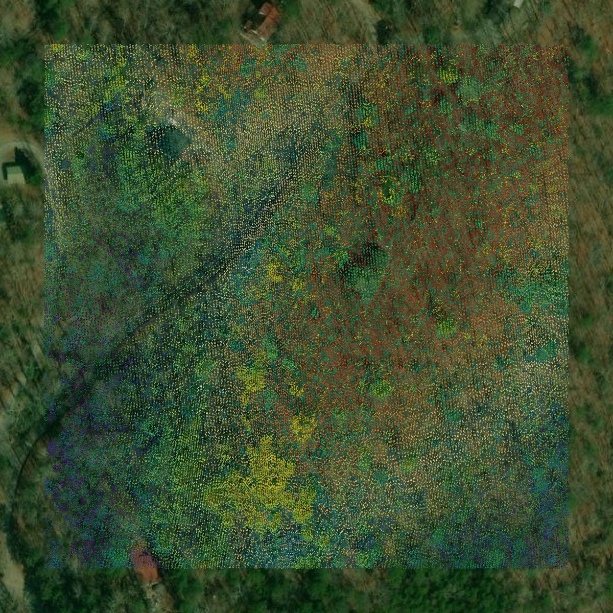 This image shows a LiDAR point cloud in Fannin County created using GIS data in Equator.