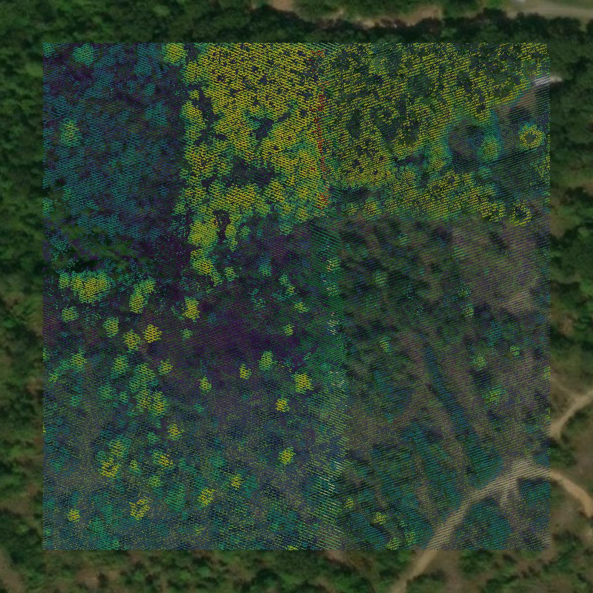 This image shows a LiDAR point cloud in Floyd County created using GIS data in Equator.