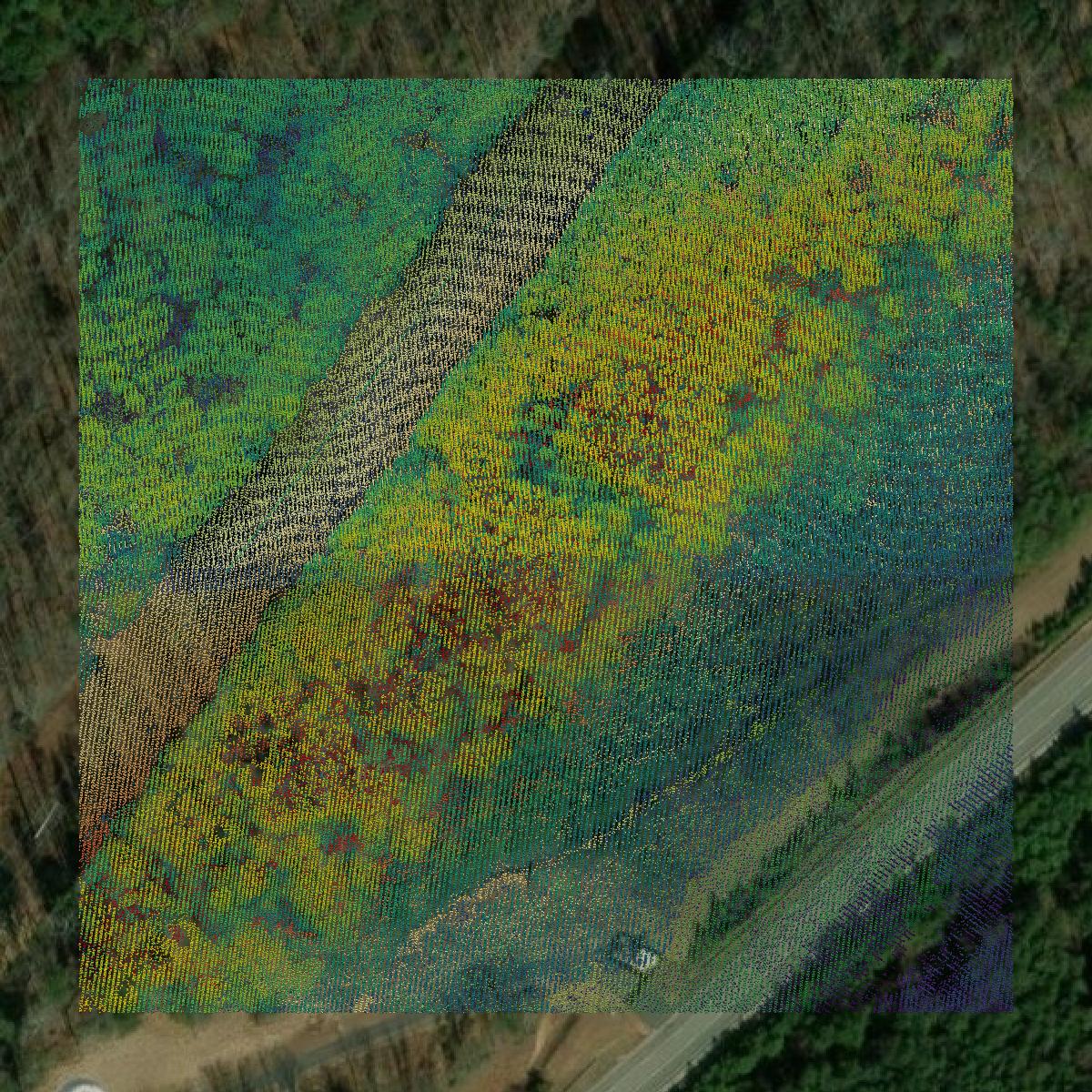 This image shows a LiDAR point cloud in Forsyth County created using GIS data in Equator.