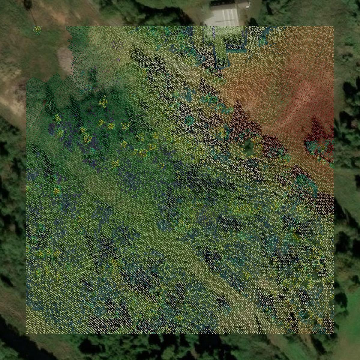 This image shows a LiDAR point cloud in Franklin County created using GIS data in Equator.