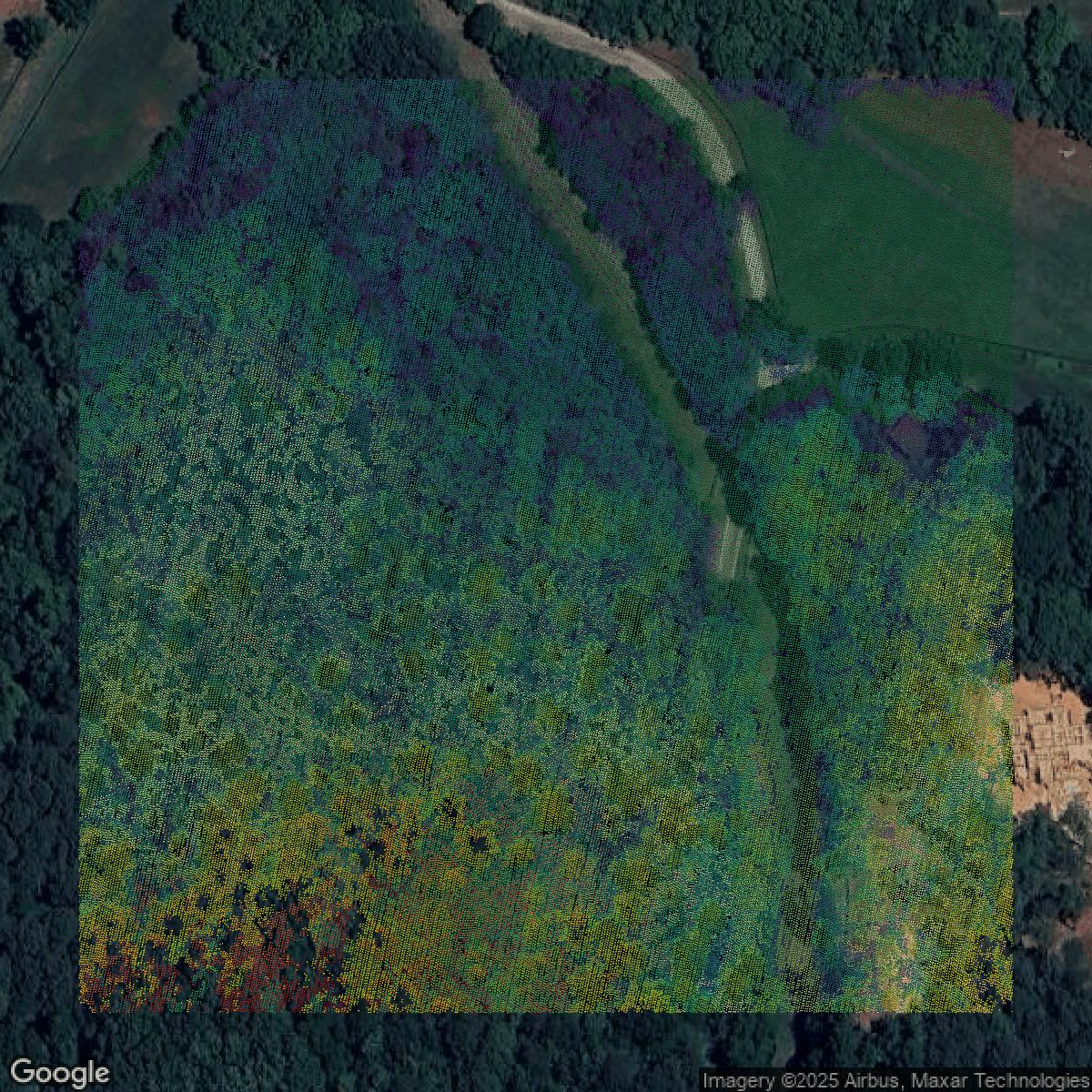 This image shows a LiDAR point cloud in Fulton County created using GIS data in Equator.