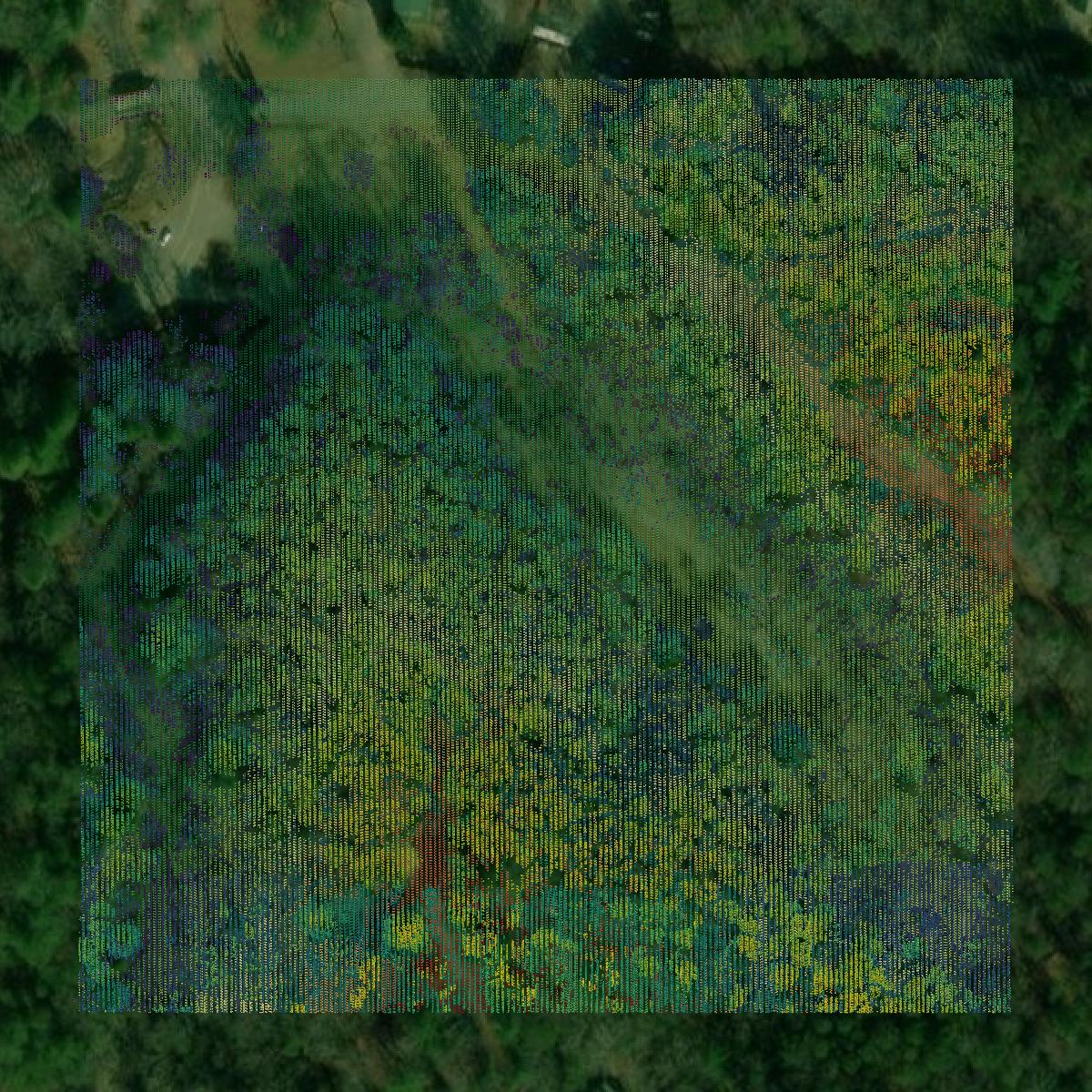 This image shows a LiDAR point cloud in Gilmer County created using GIS data in Equator.
