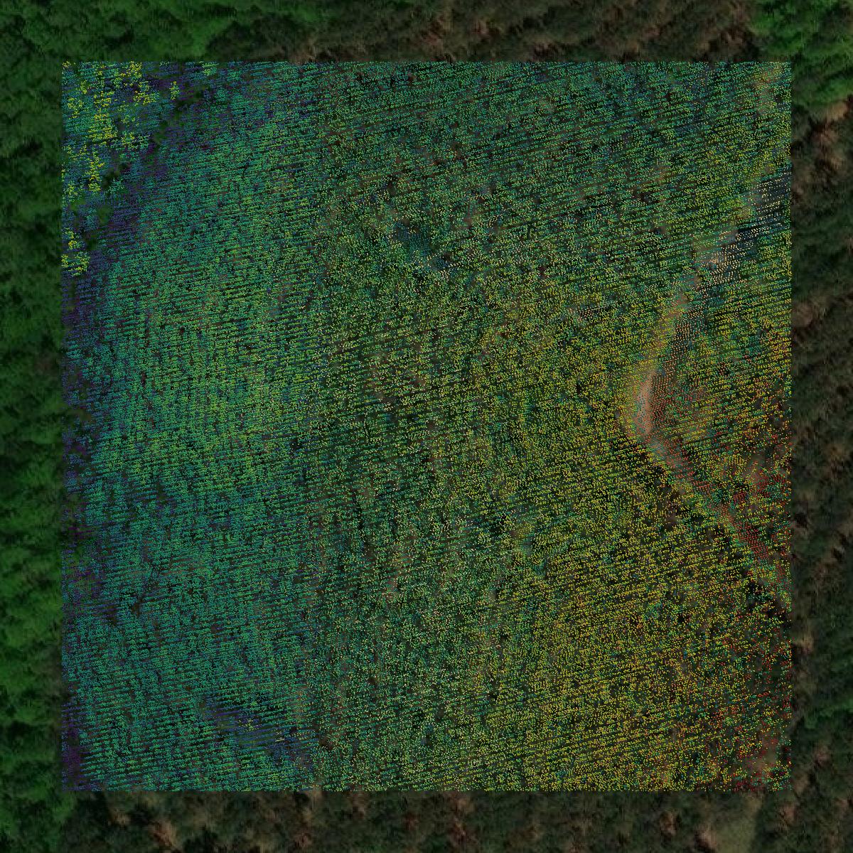 This image shows a LiDAR point cloud in Glascock County created using GIS data in Equator.