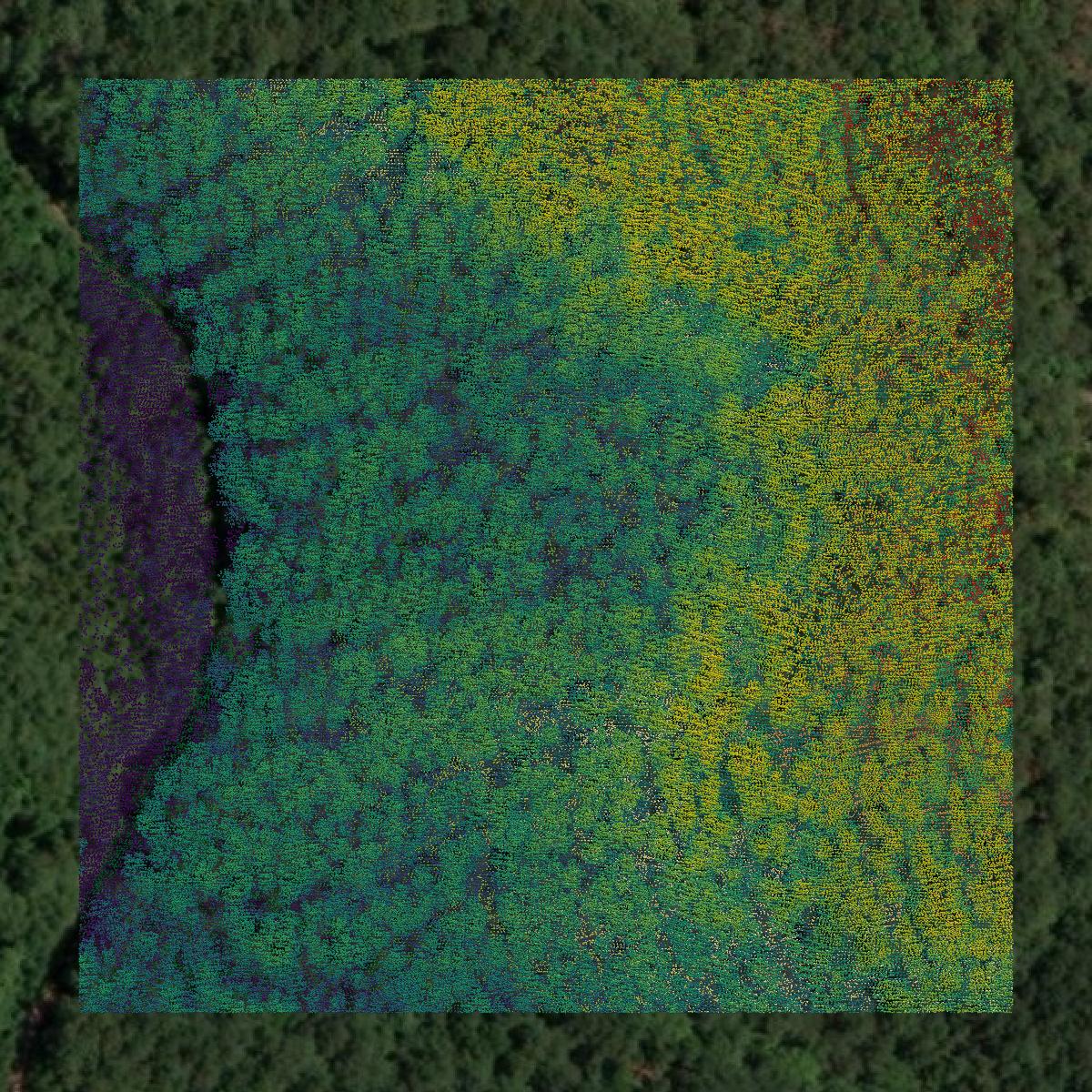 This image shows a LiDAR point cloud in Glascock County created using GIS data in Equator.