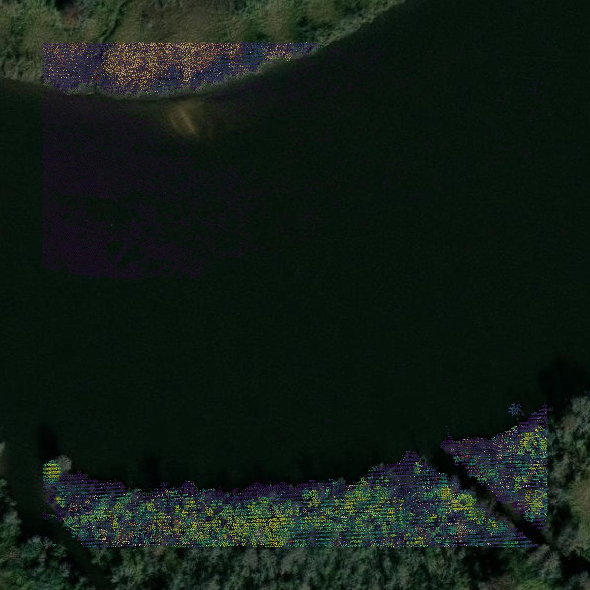 This image shows a LiDAR point cloud in Glynn County created using GIS data in Equator.