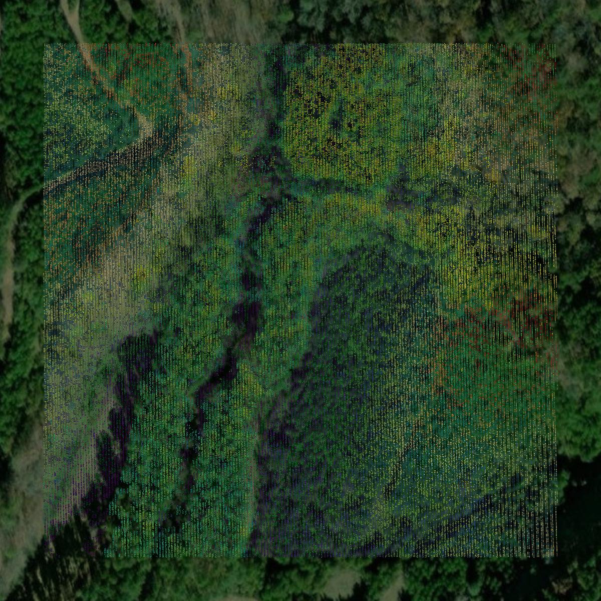 This image shows a LiDAR point cloud in Gordon County created using GIS data in Equator.
