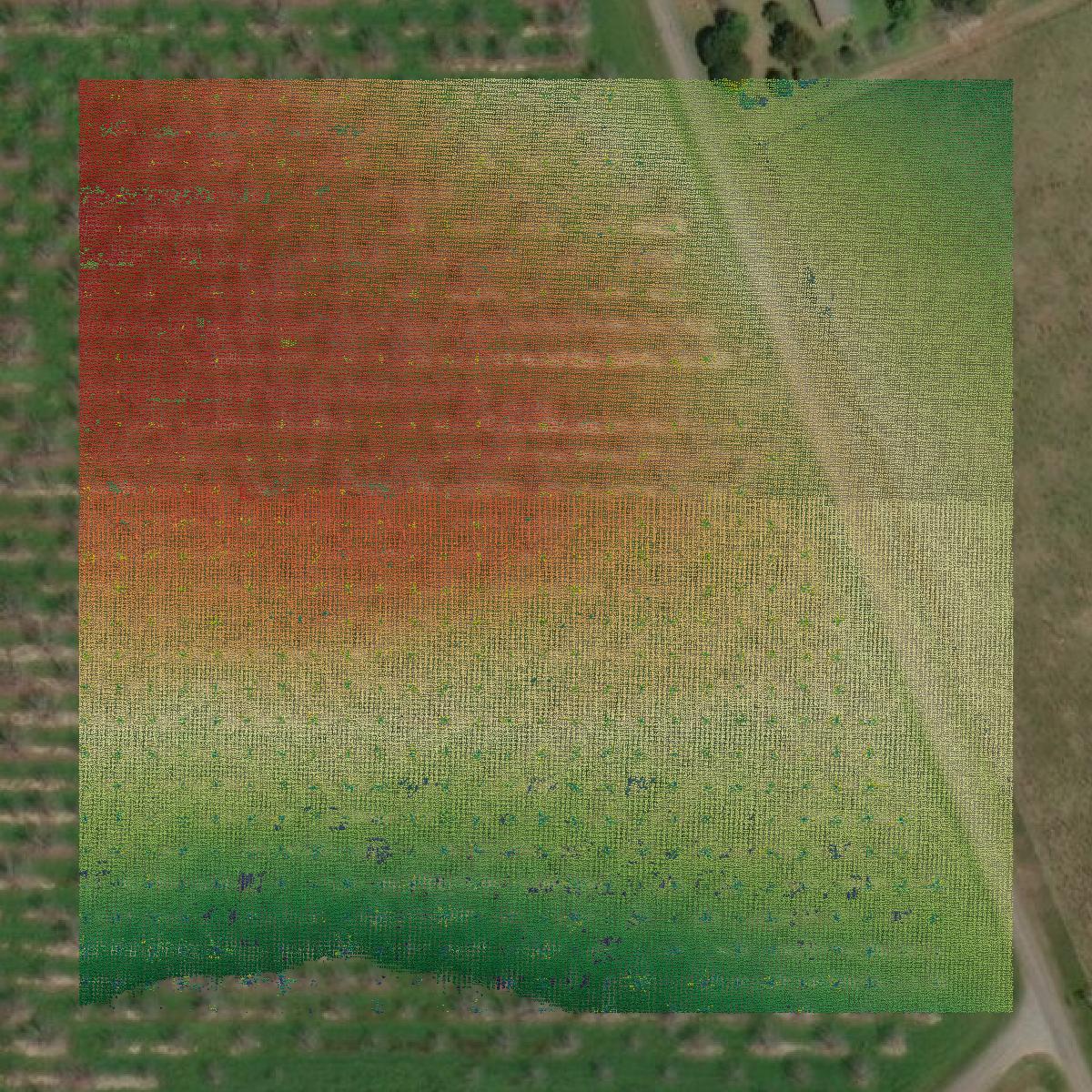 This image shows a LiDAR point cloud in Grady County created using GIS data in Equator.