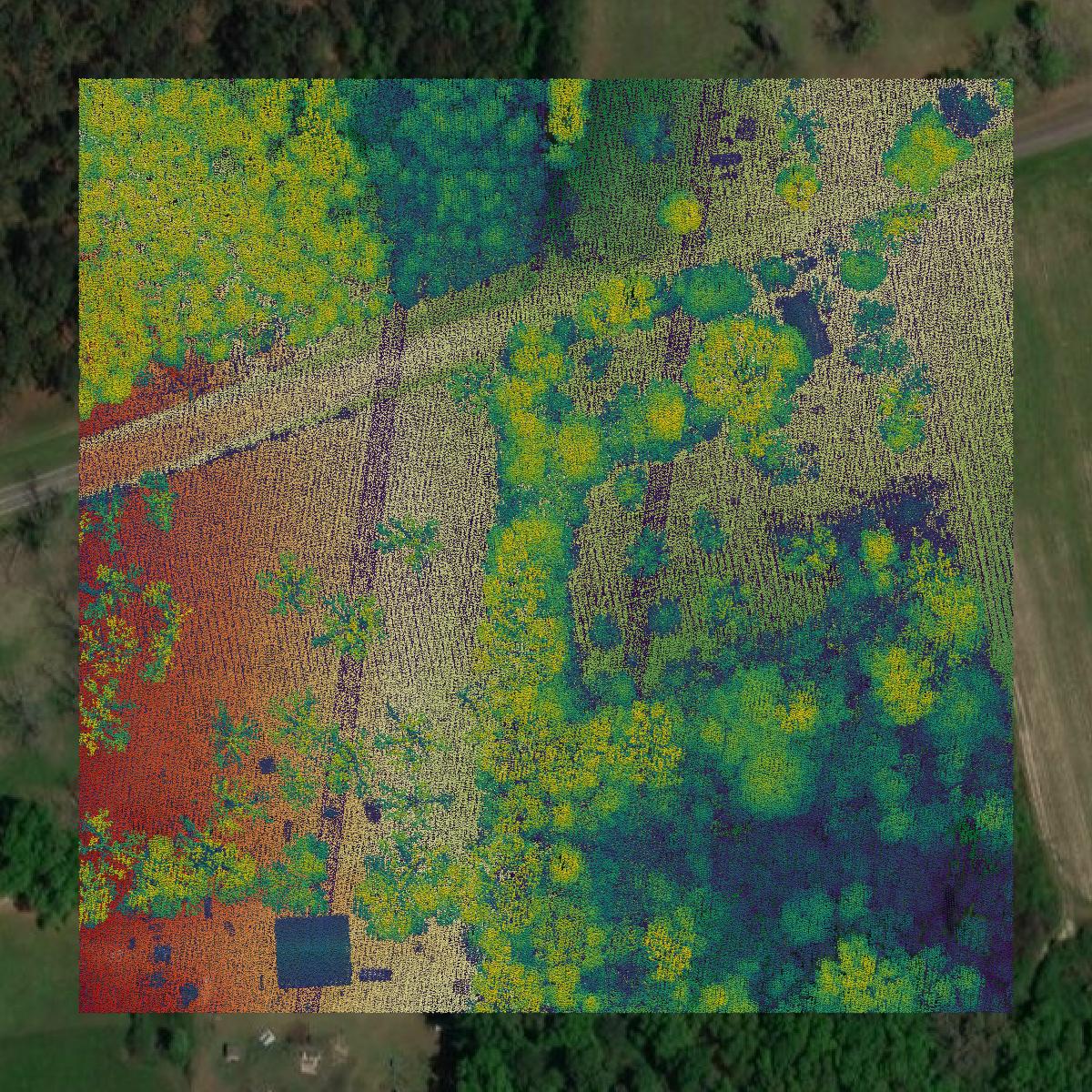 This image shows a LiDAR point cloud in Grady County created using GIS data in Equator.