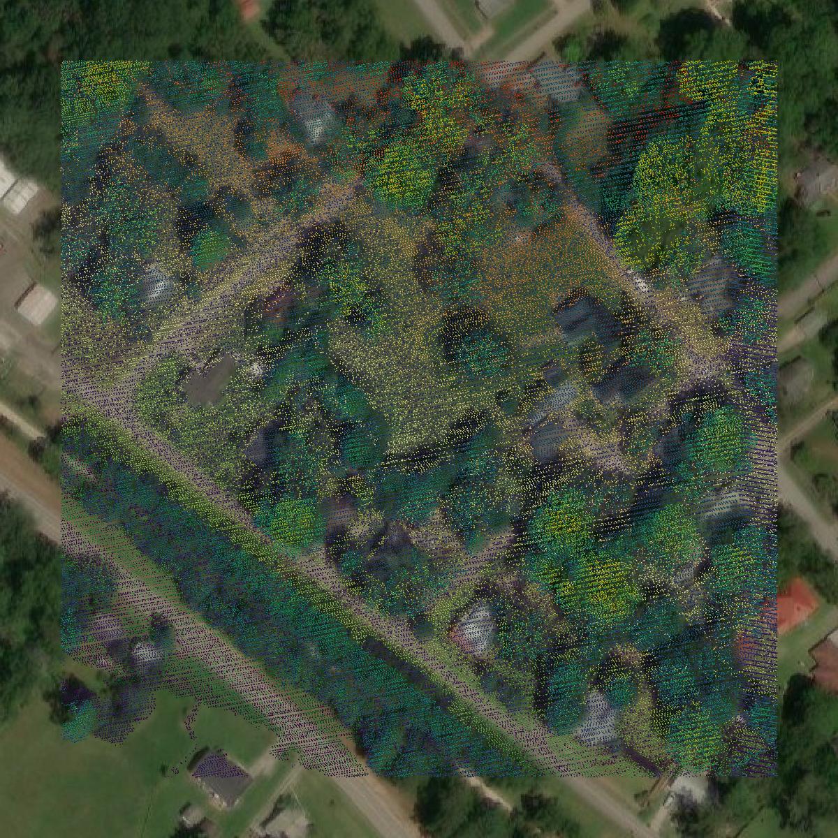 This image shows a LiDAR point cloud in Greene County created using GIS data in Equator.