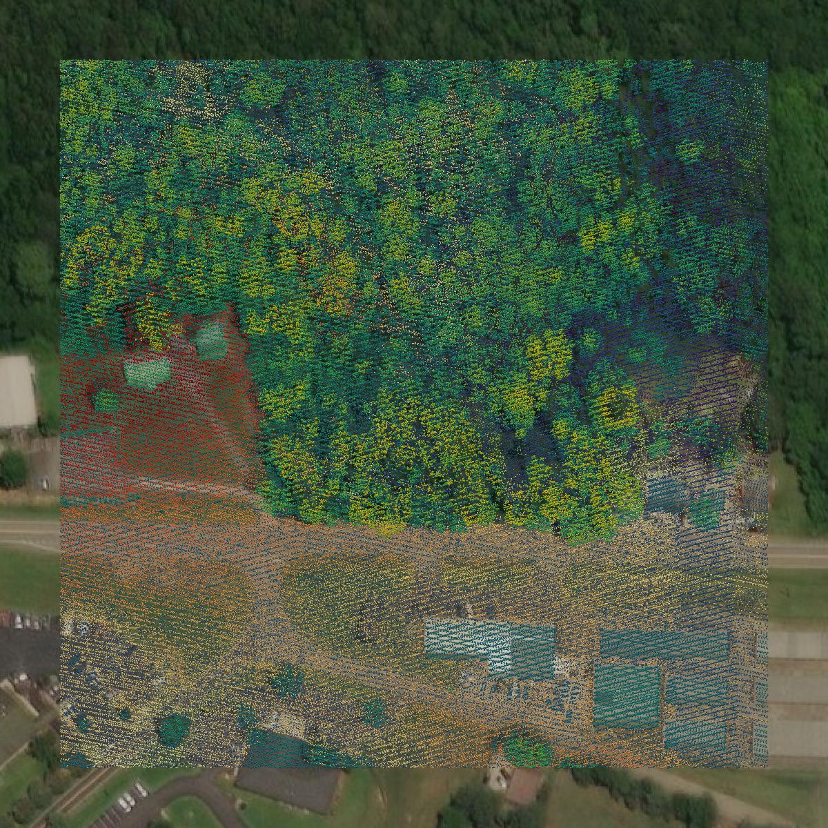 This image shows a LiDAR point cloud in Greene County created using GIS data in Equator.