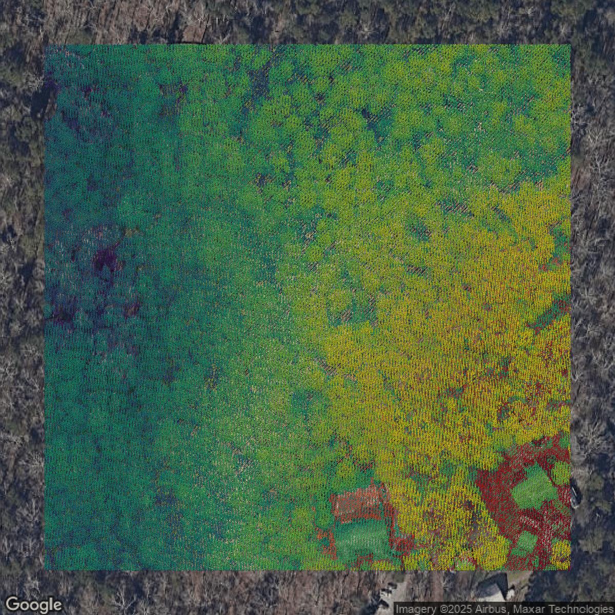 This image shows a LiDAR point cloud in Gwinnett County created using GIS data in Equator.