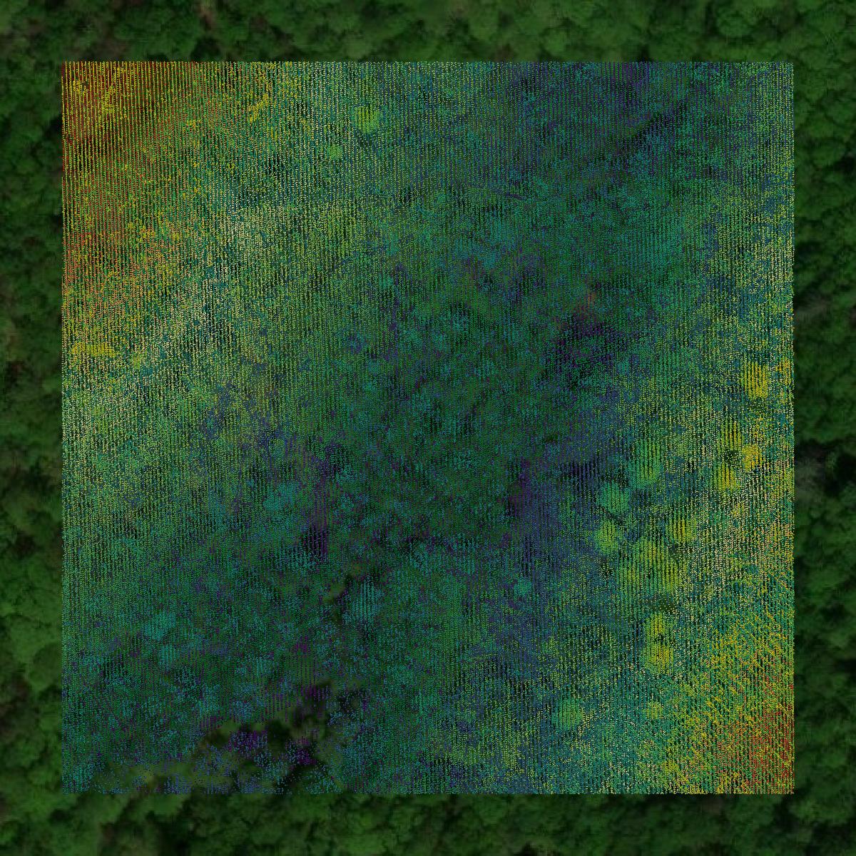 This image shows a LiDAR point cloud in Habersham County created using GIS data in Equator.