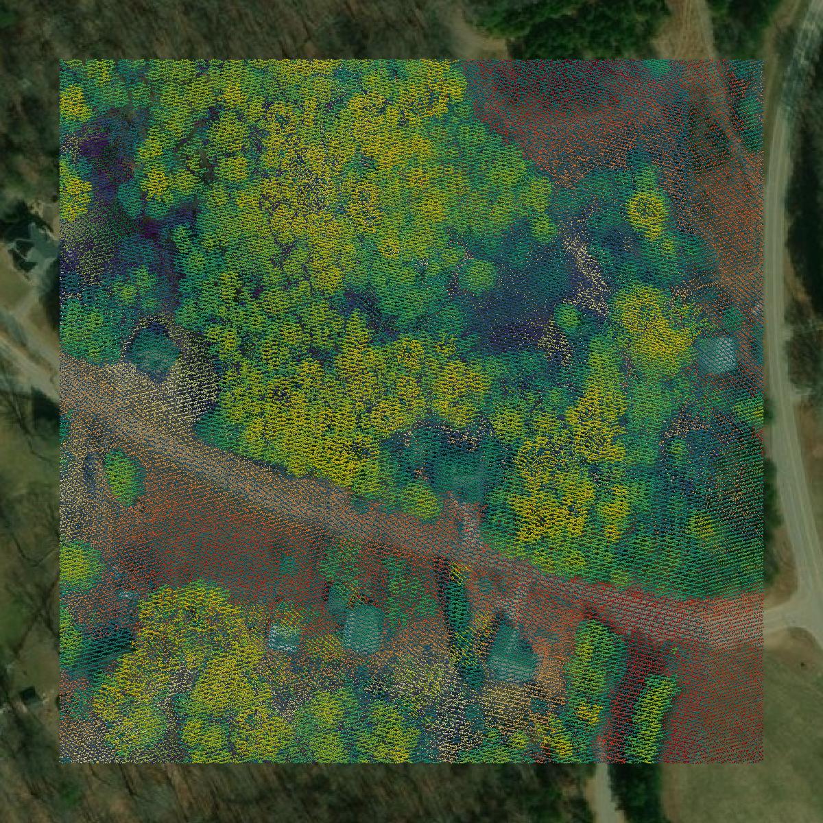 This image shows a LiDAR point cloud in Hall County created using GIS data in Equator.