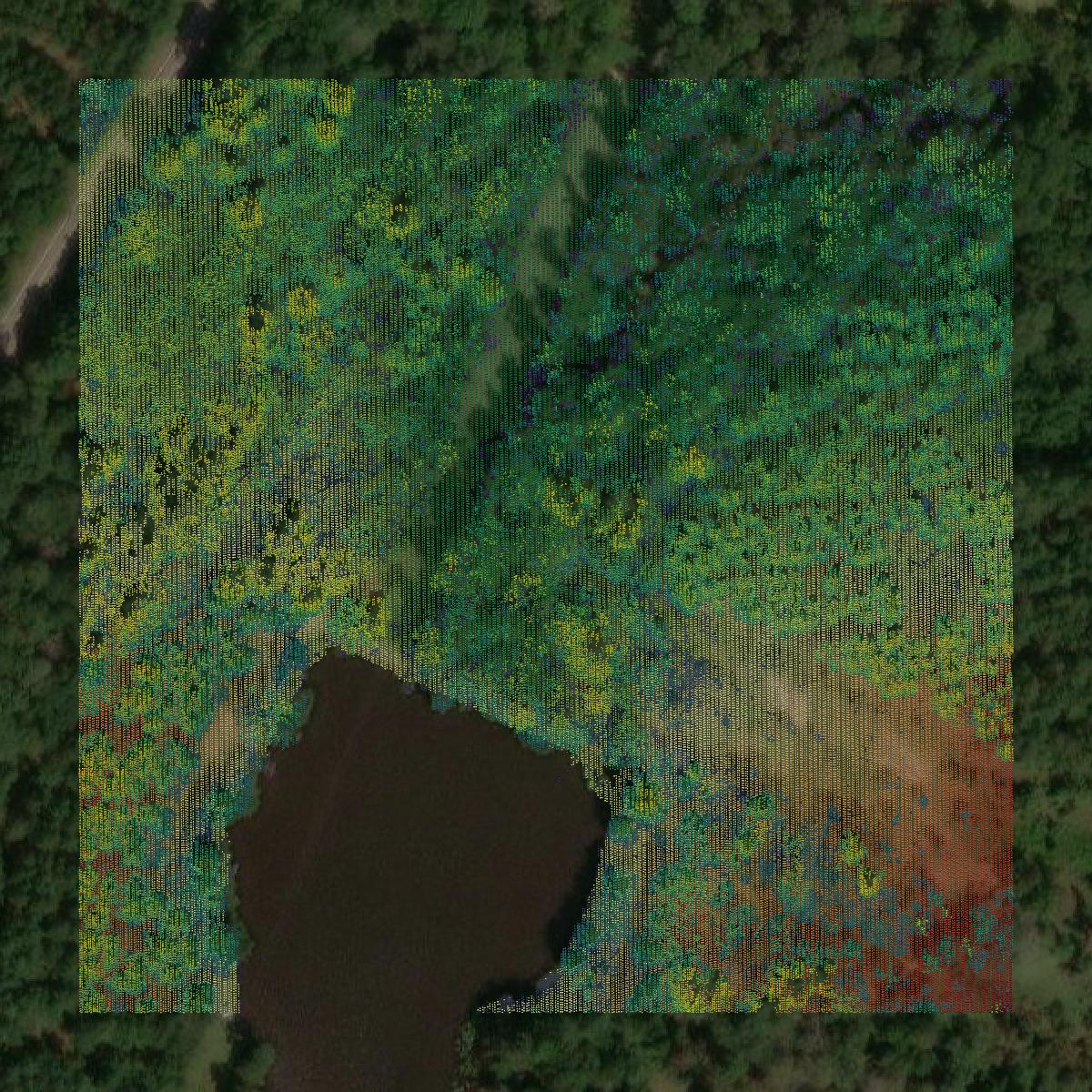 This image shows a LiDAR point cloud in Hancock County created using GIS data in Equator.