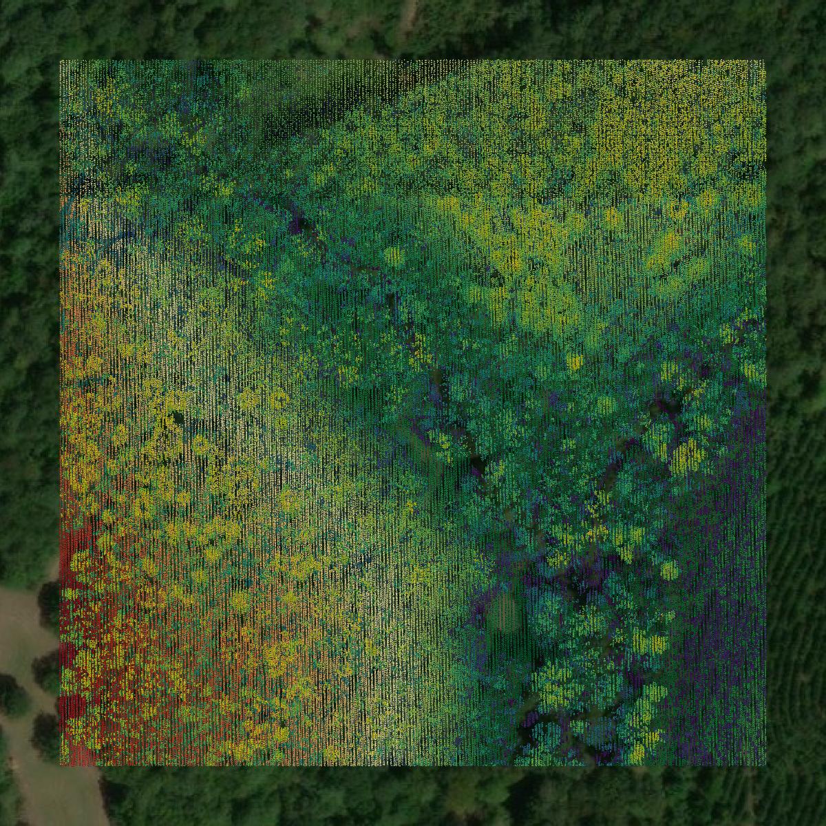 This image shows a LiDAR point cloud in Hancock County created using GIS data in Equator.