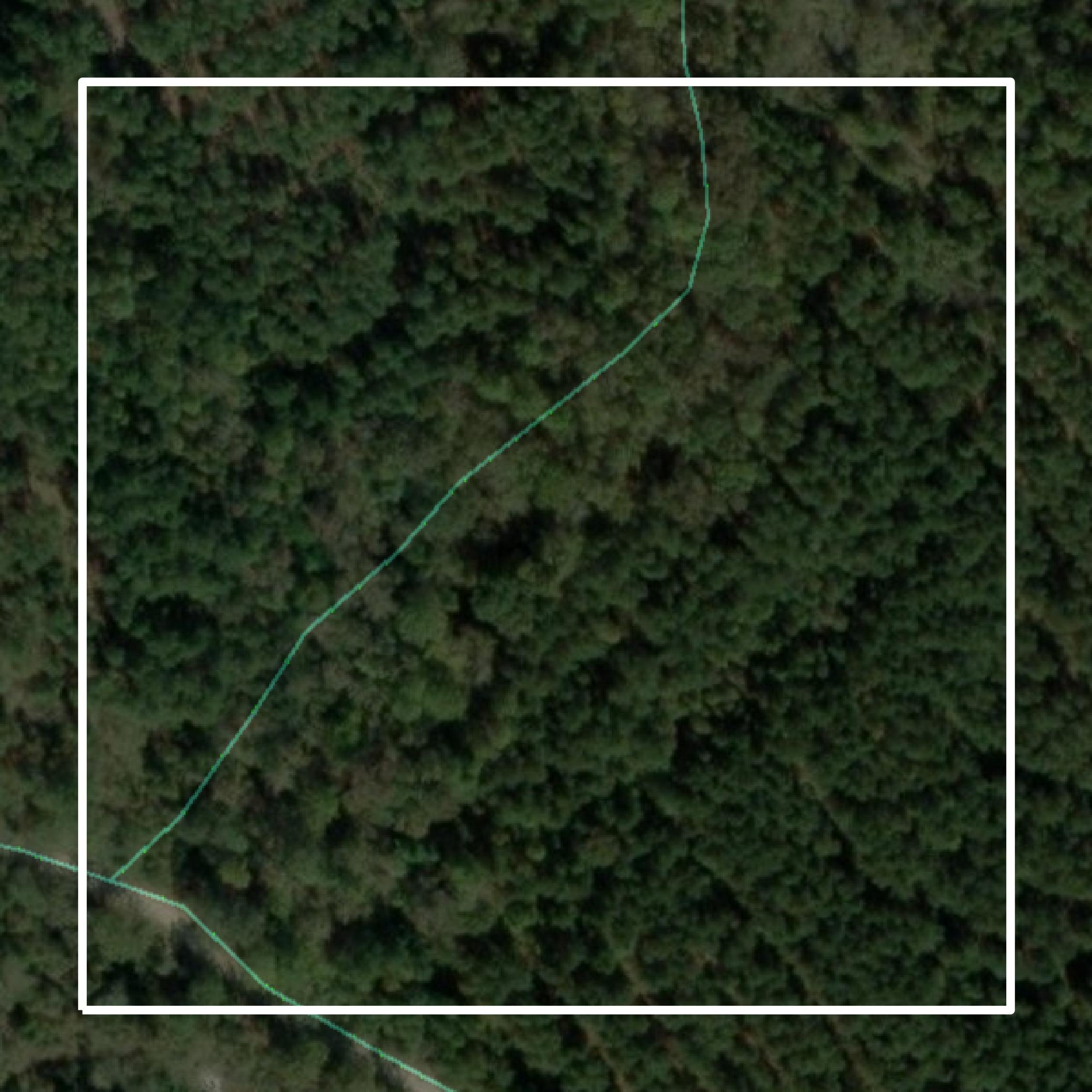 This image shows parcel and building data in Haralson County created using GIS data in Equator.