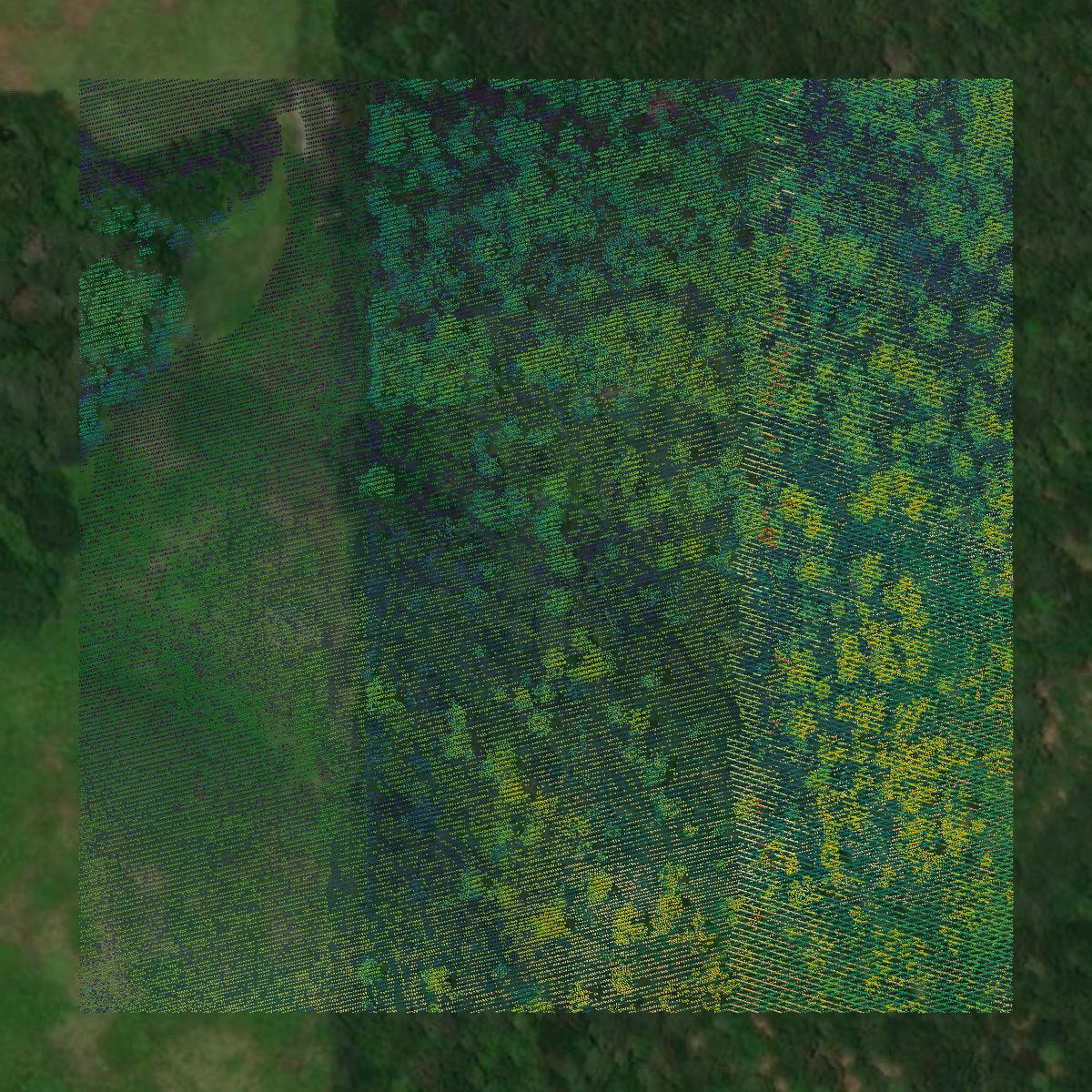 This image shows a LiDAR point cloud in Haralson County created using GIS data in Equator.