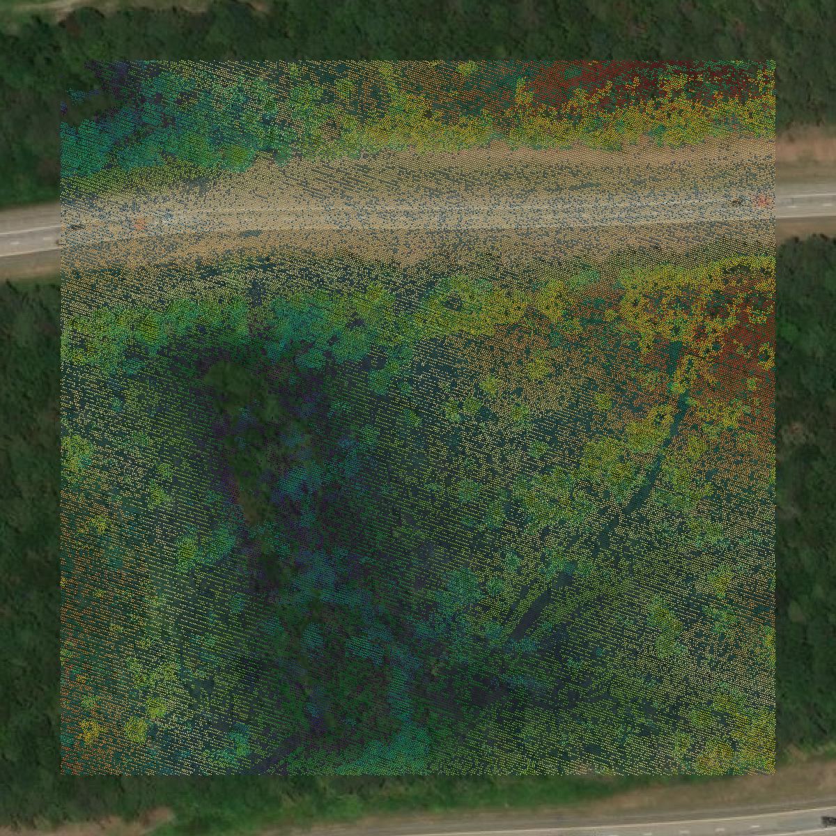This image shows a LiDAR point cloud in Haralson County created using GIS data in Equator.