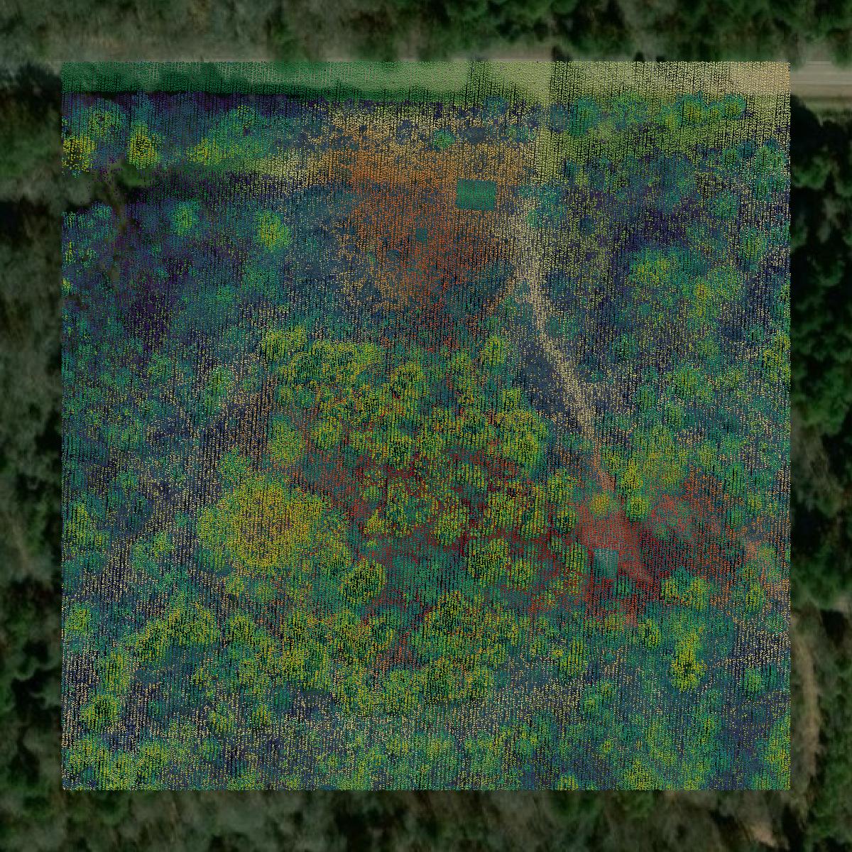 This image shows a LiDAR point cloud in Harris County created using GIS data in Equator.
