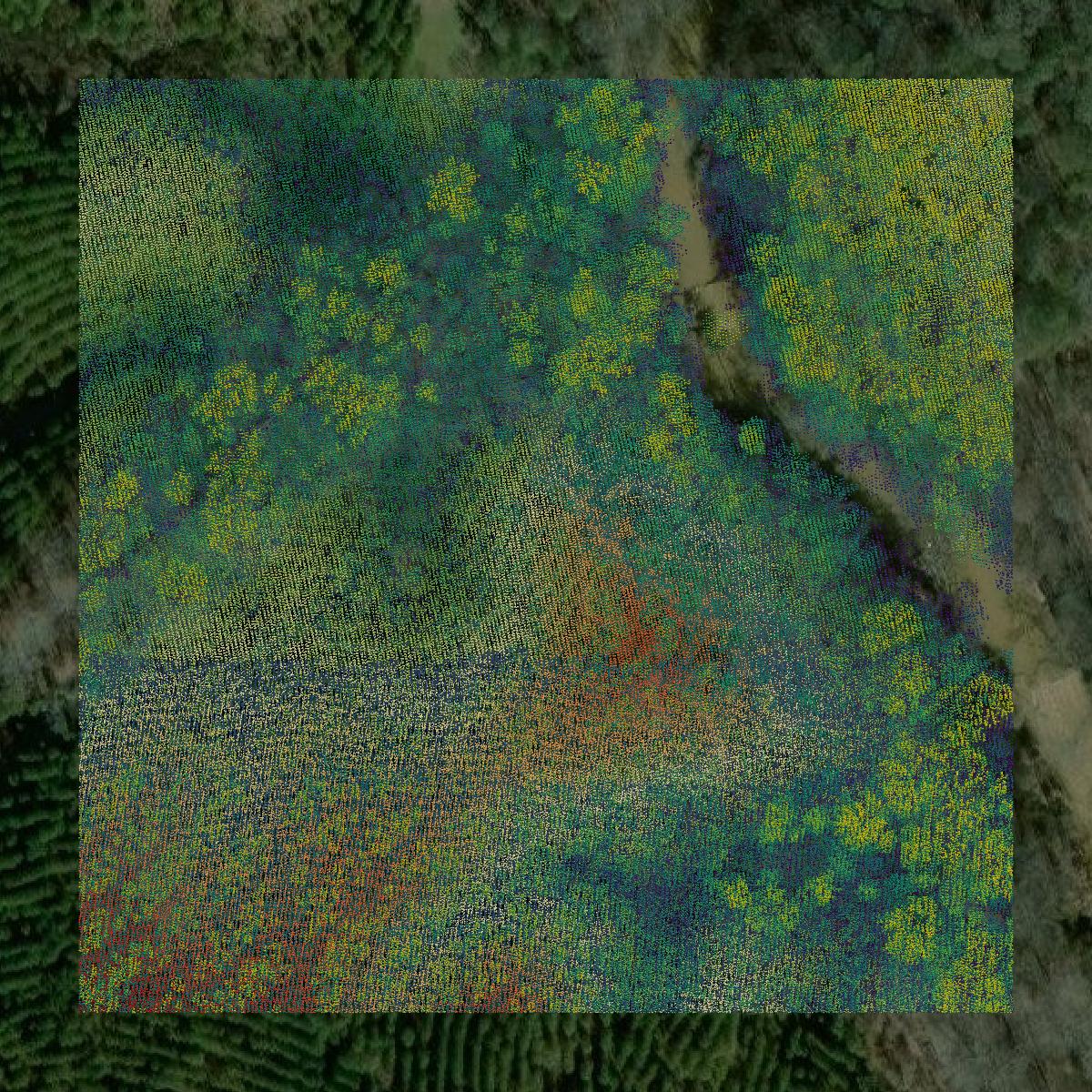This image shows a LiDAR point cloud in Harris County created using GIS data in Equator.