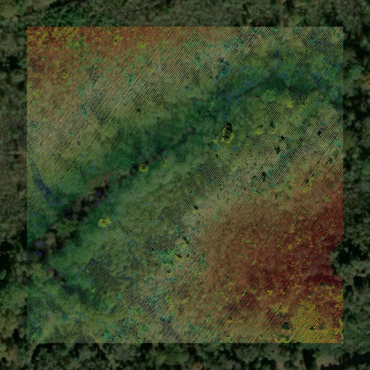 This image shows a LiDAR point cloud in Hart County created using GIS data in Equator.