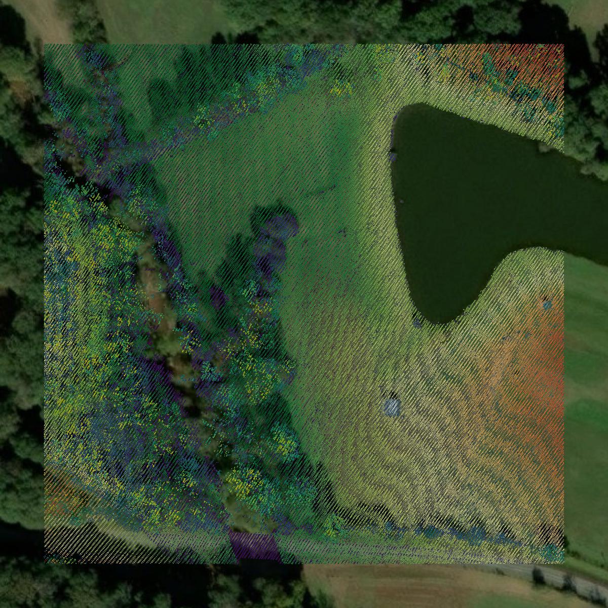 This image shows a LiDAR point cloud in Hart County created using GIS data in Equator.