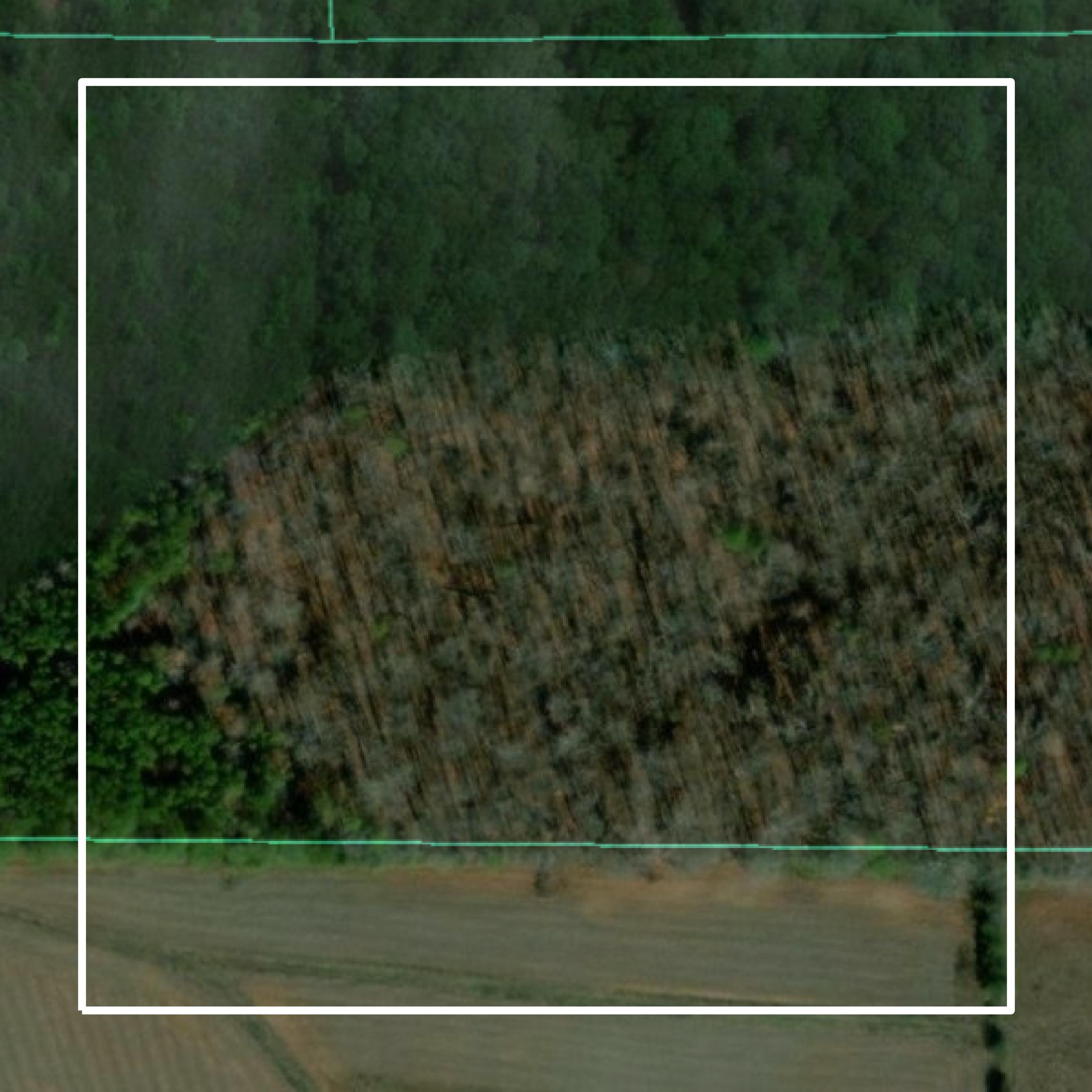 This image shows parcel and building data in Heard County created using GIS data in Equator.