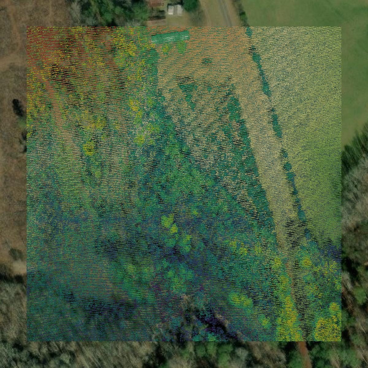 This image shows a LiDAR point cloud in Heard County created using GIS data in Equator.