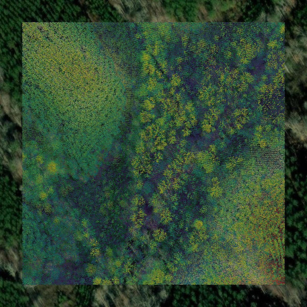 This image shows a LiDAR point cloud in Heard County created using GIS data in Equator.