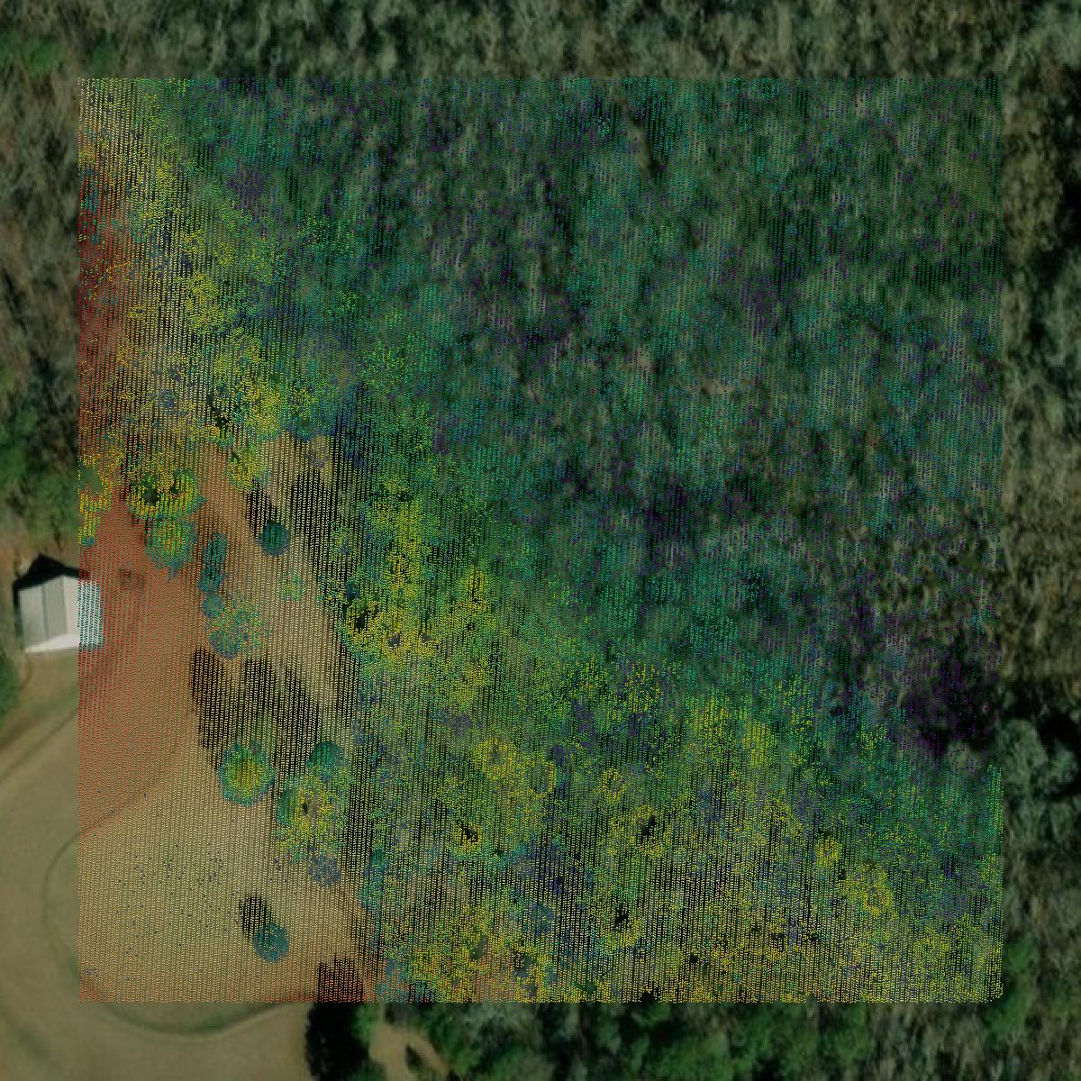 This image shows a LiDAR point cloud in Henry County created using GIS data in Equator.