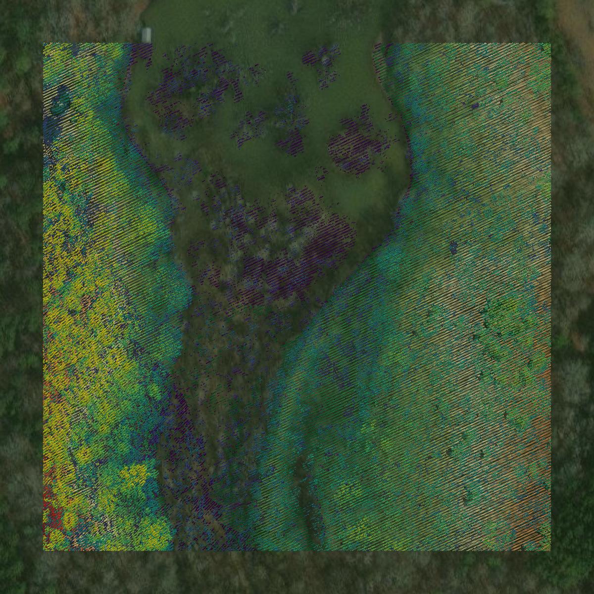 This image shows a LiDAR point cloud in Houston County created using GIS data in Equator.
