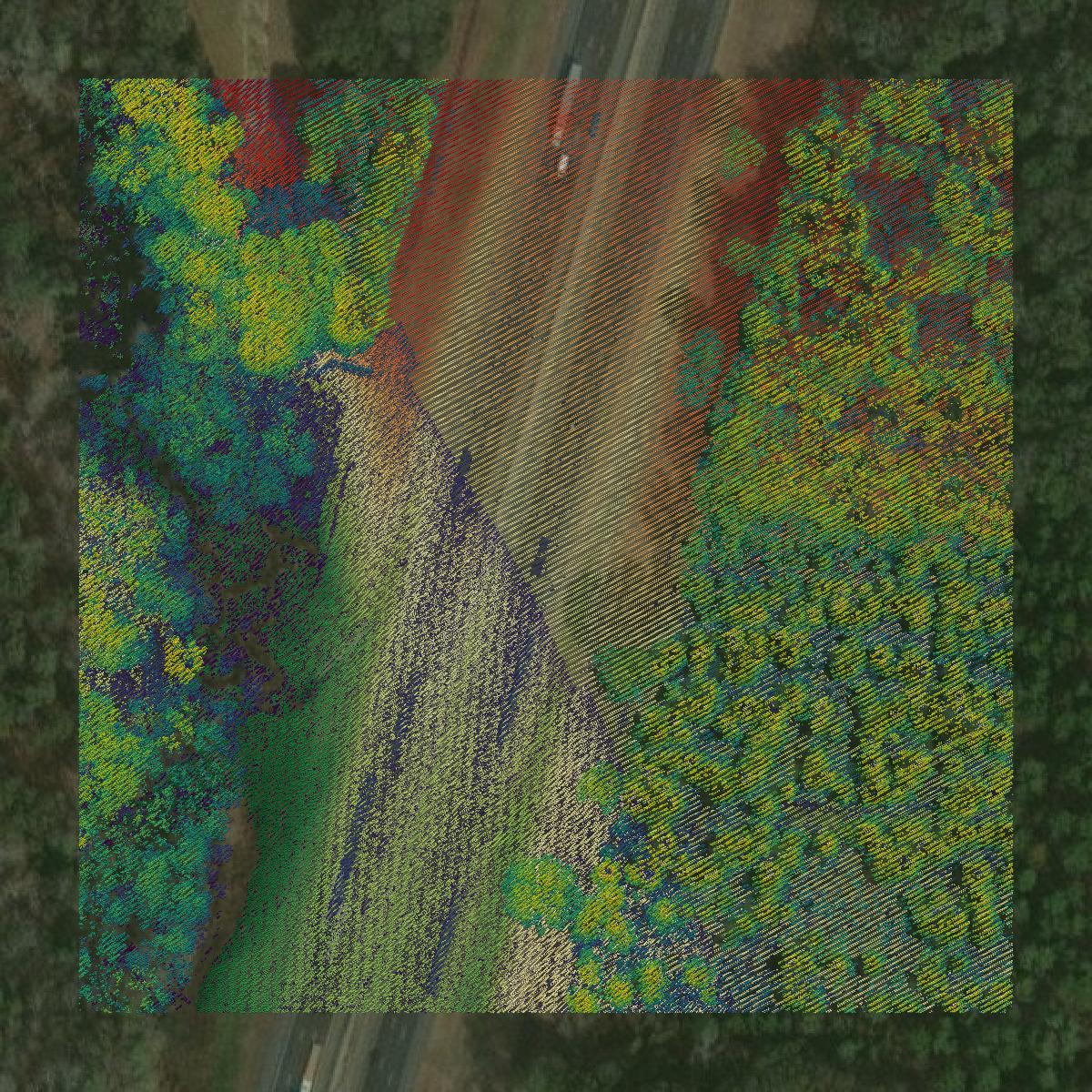 This image shows a LiDAR point cloud in Houston County created using GIS data in Equator.