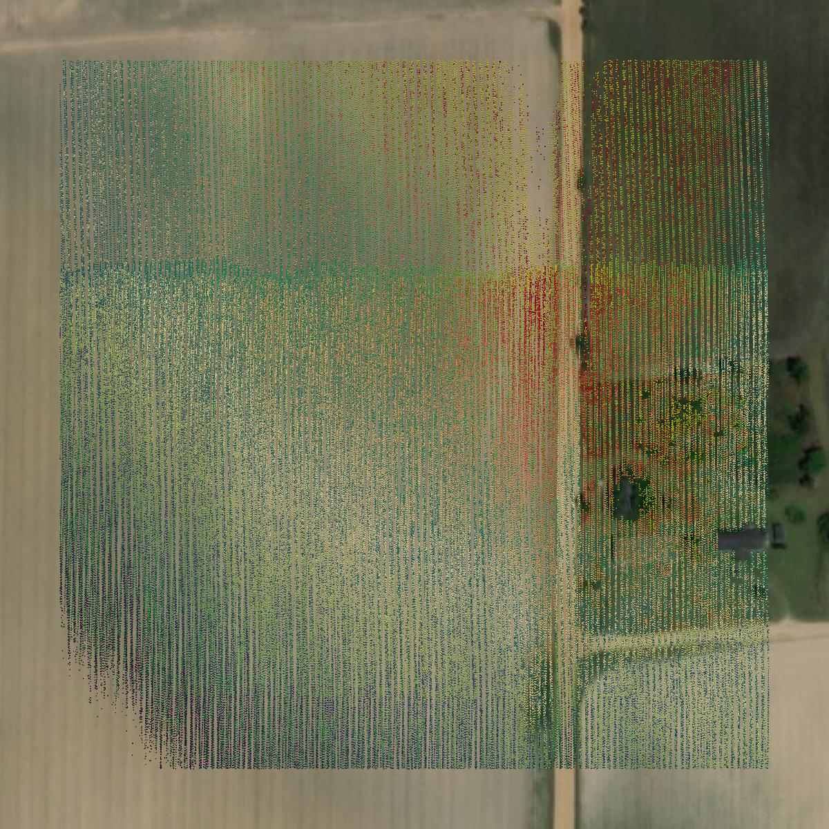 This image shows a LiDAR point cloud in Irwin County created using GIS data in Equator.
