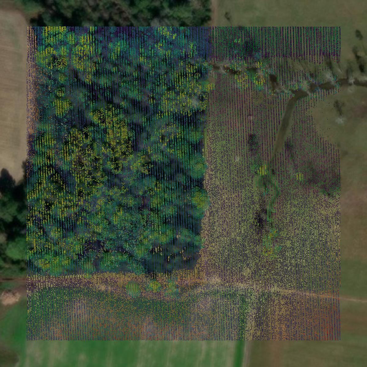 This image shows a LiDAR point cloud in Irwin County created using GIS data in Equator.