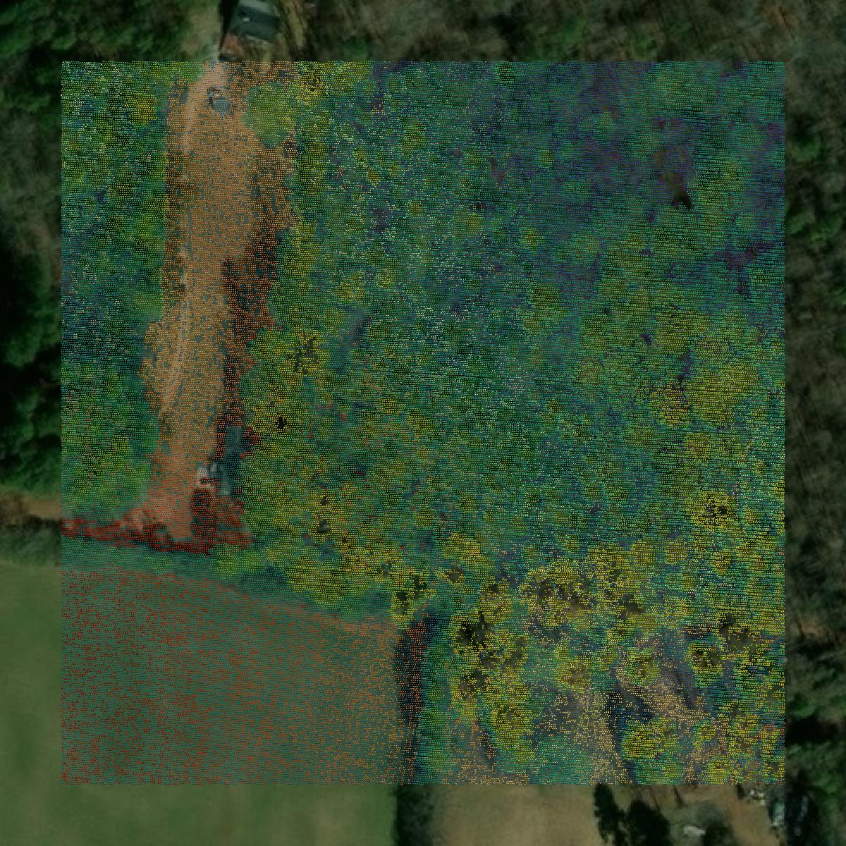 This image shows a LiDAR point cloud in Jackson County created using GIS data in Equator.