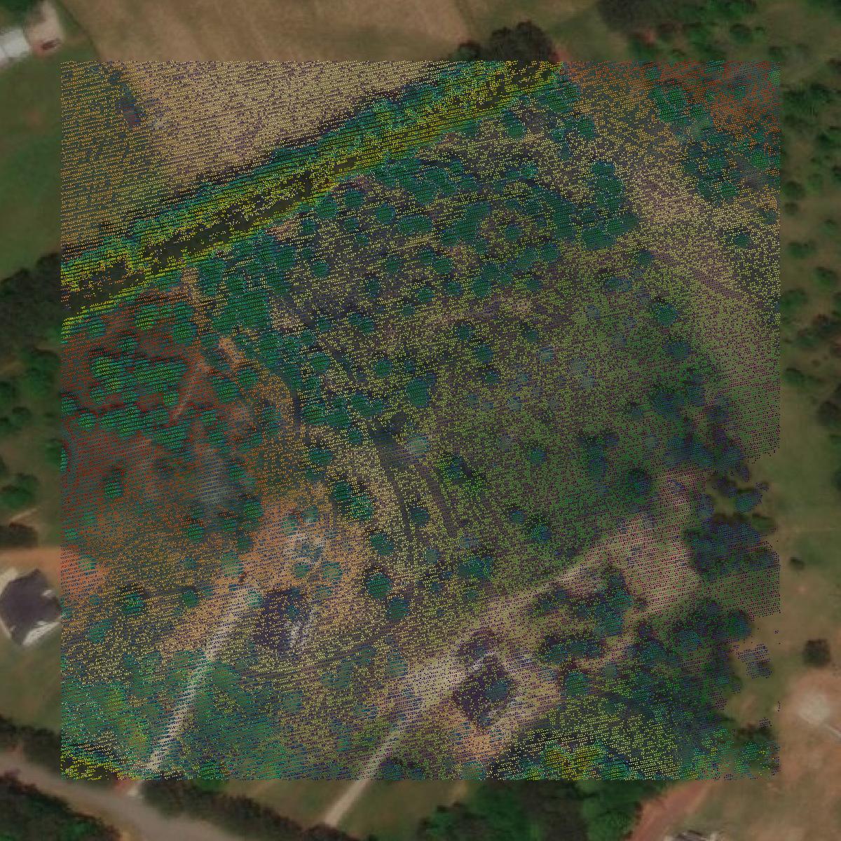 This image shows a LiDAR point cloud in Jackson County created using GIS data in Equator.