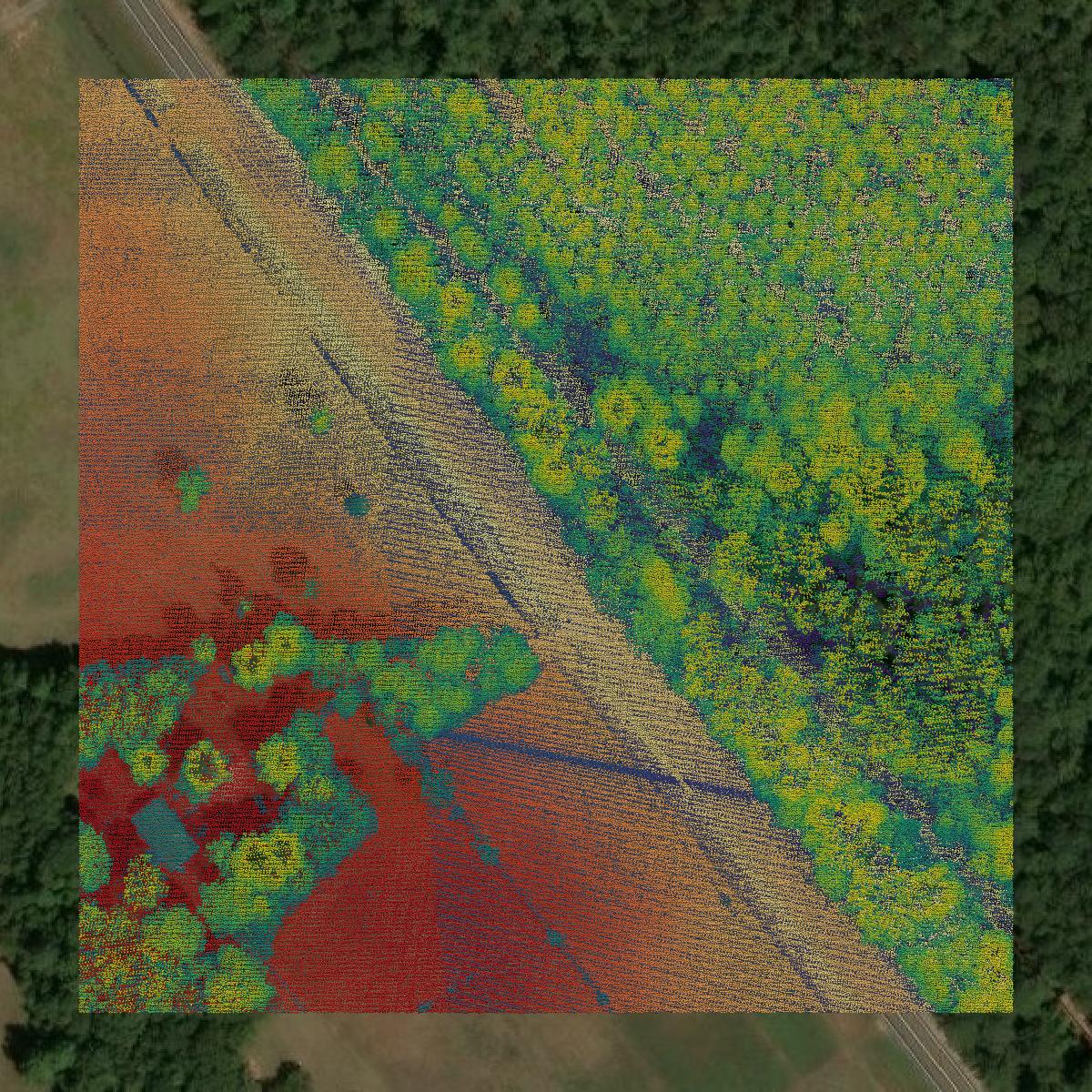 This image shows a LiDAR point cloud in Jasper County created using GIS data in Equator.