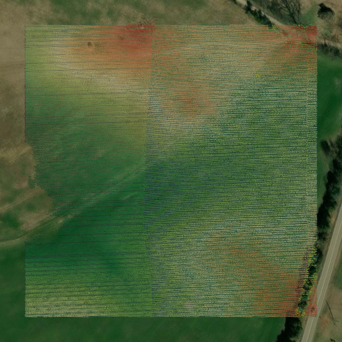 This image shows a LiDAR point cloud in Jasper County created using GIS data in Equator.
