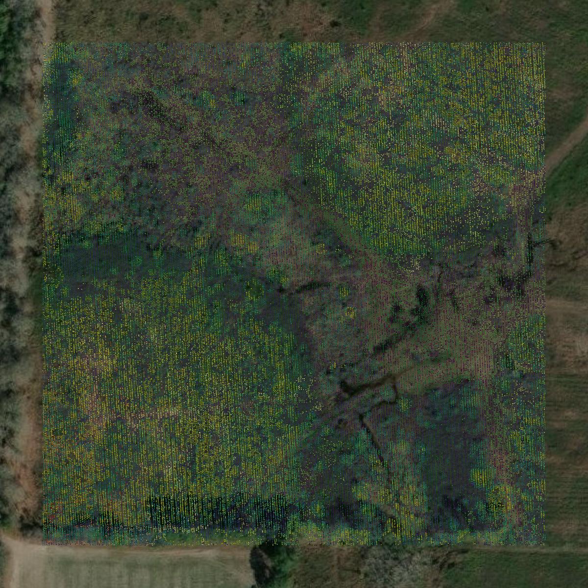 This image shows a LiDAR point cloud in Jeff Davis County created using GIS data in Equator.
