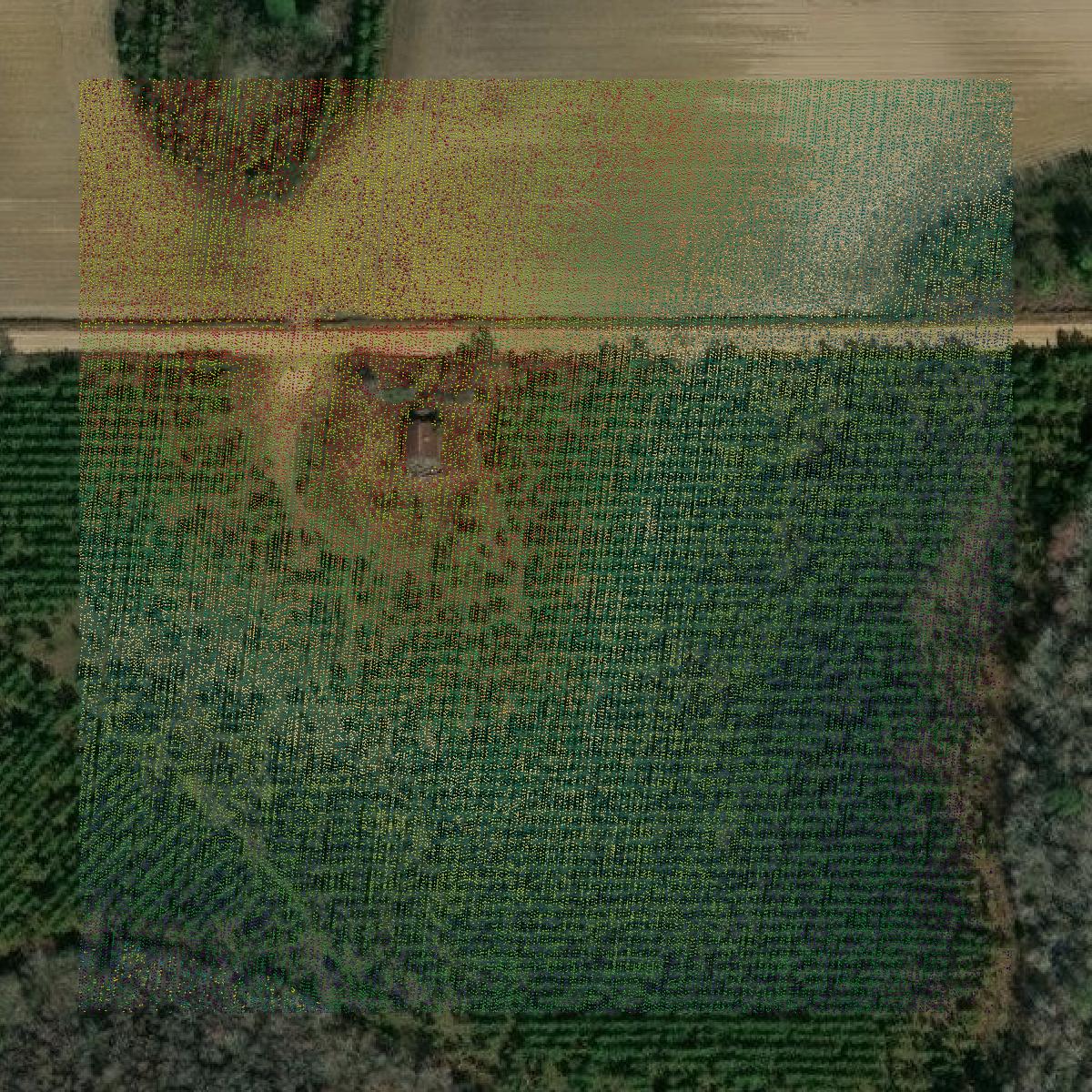 This image shows a LiDAR point cloud in Jeff Davis County created using GIS data in Equator.