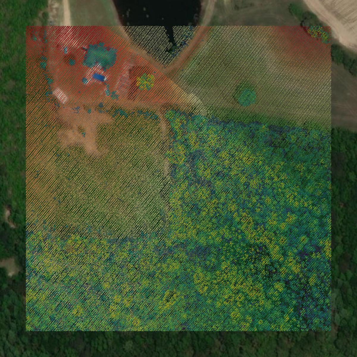 This image shows a LiDAR point cloud in Jenkins County created using GIS data in Equator.