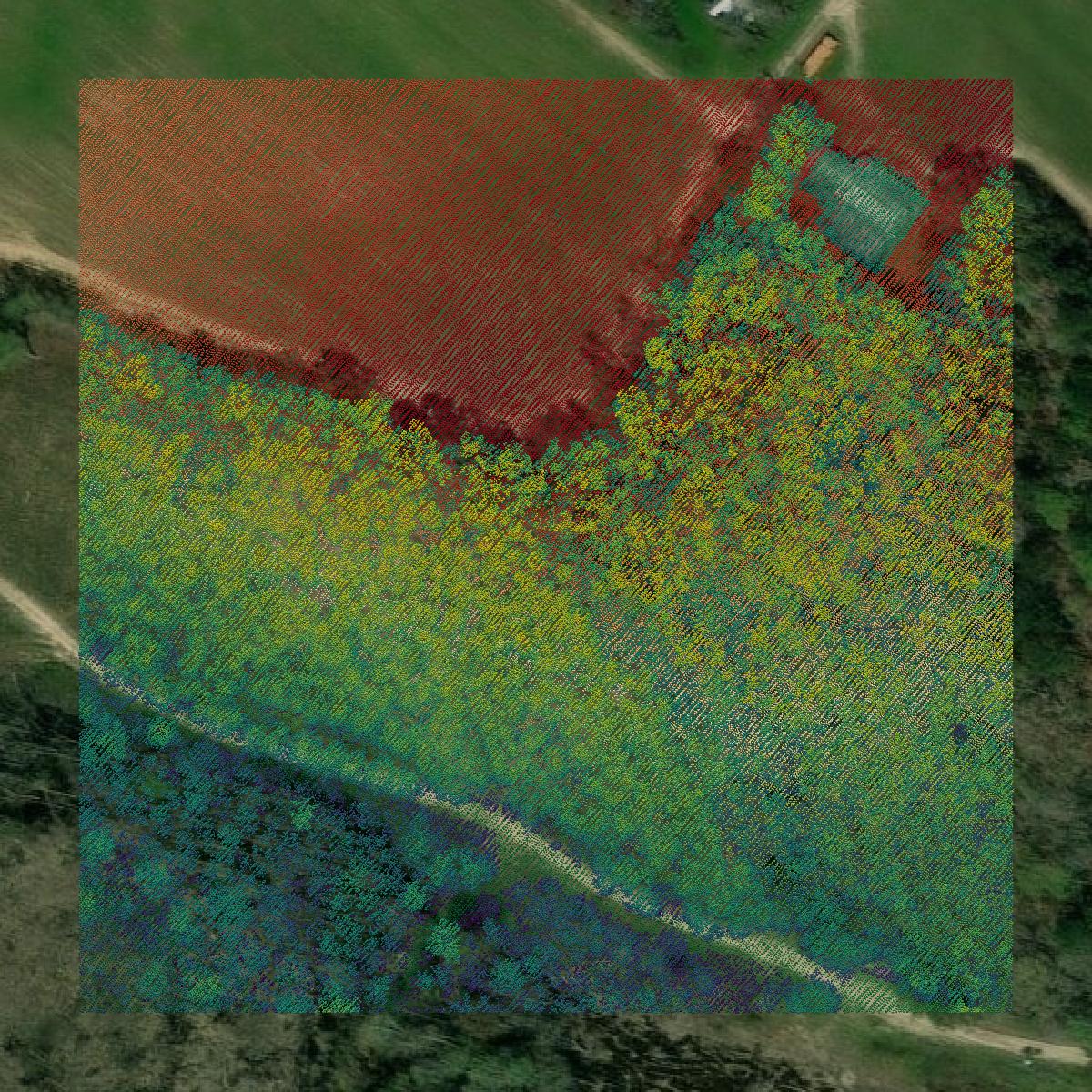 This image shows a LiDAR point cloud in Jenkins County created using GIS data in Equator.